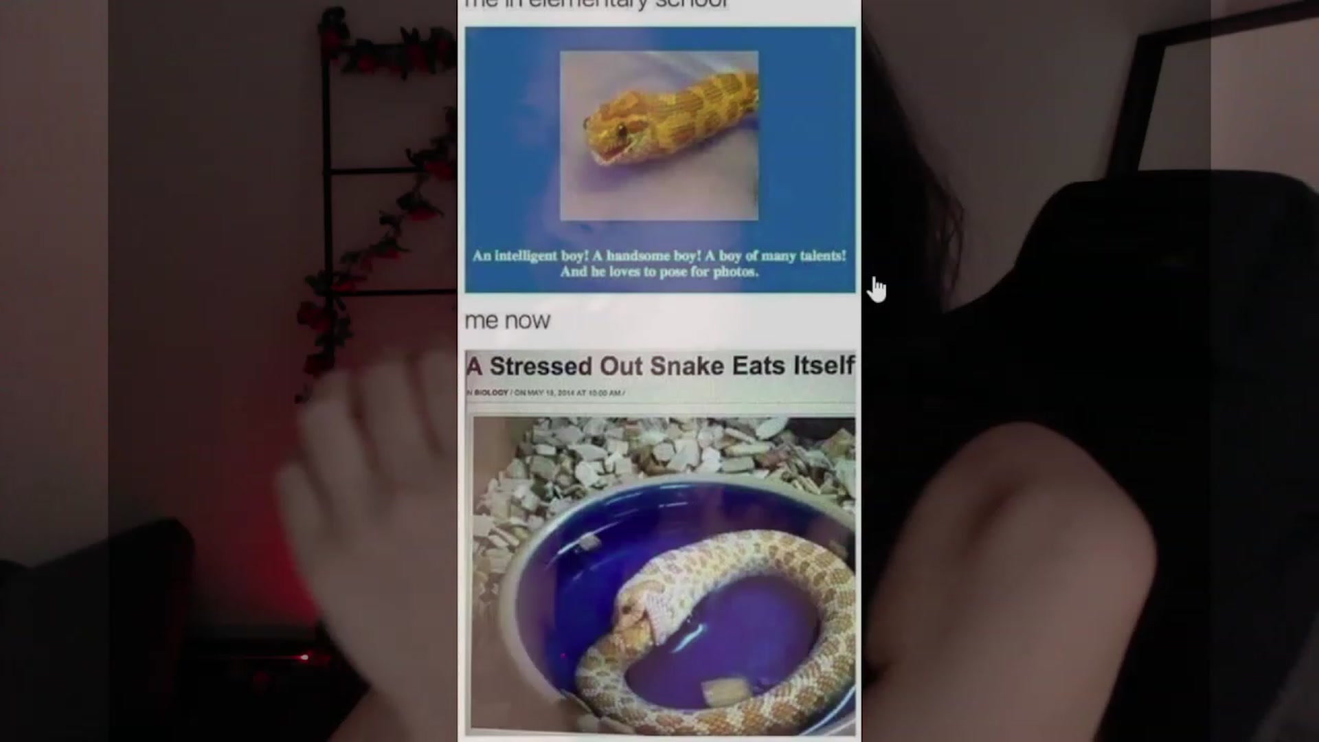 Gallery image thumbnail from CptSniffles's myfreecams stream on, 12/20/2022, 06:15 image 18 of 20