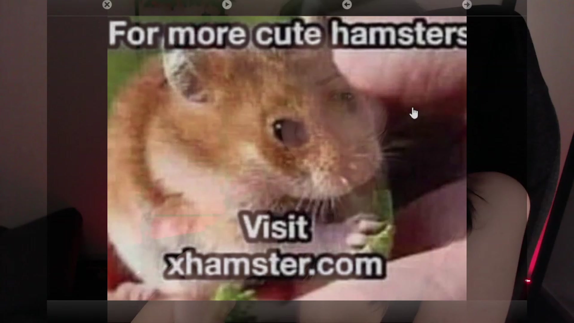 Gallery image thumbnail from CptSniffles's myfreecams stream on, 12/20/2022, 07:58 image 10 of 20