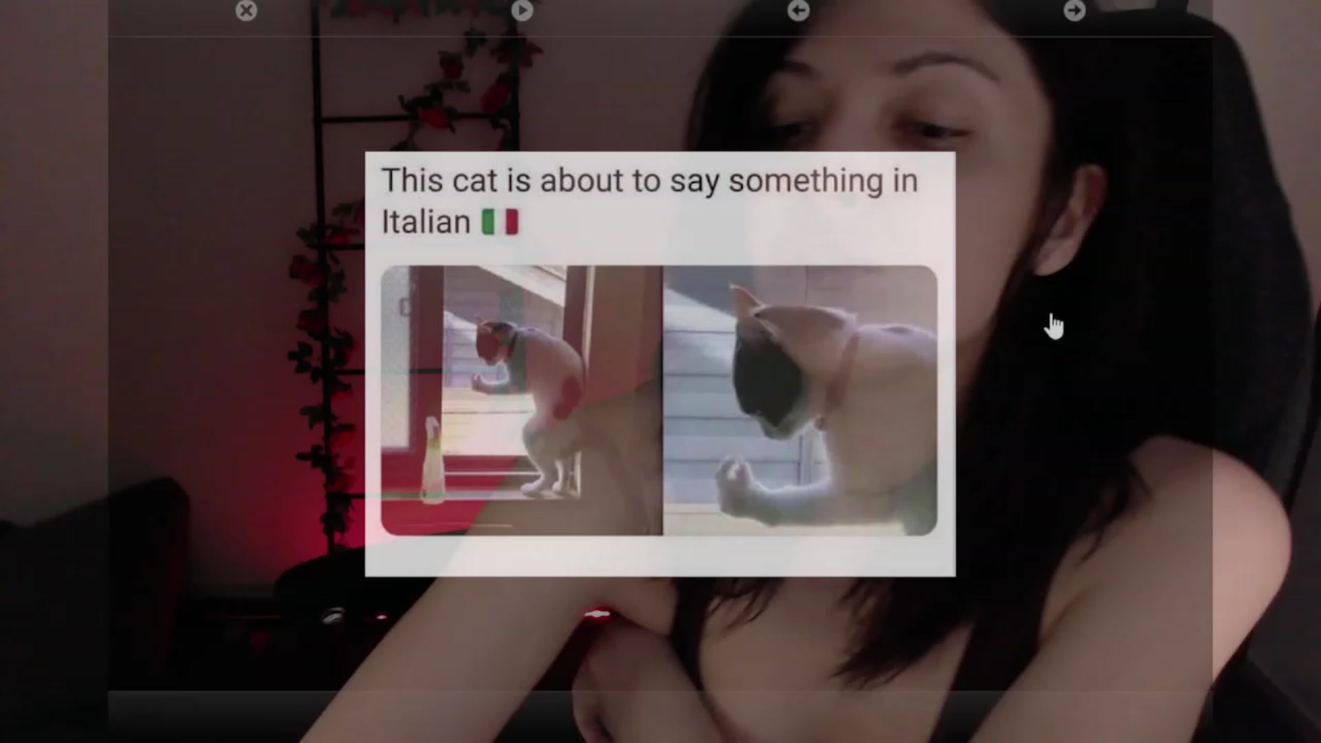 Gallery image thumbnail from CptSniffles's myfreecams stream on, 12/20/2022, 07:58 image 7 of 20