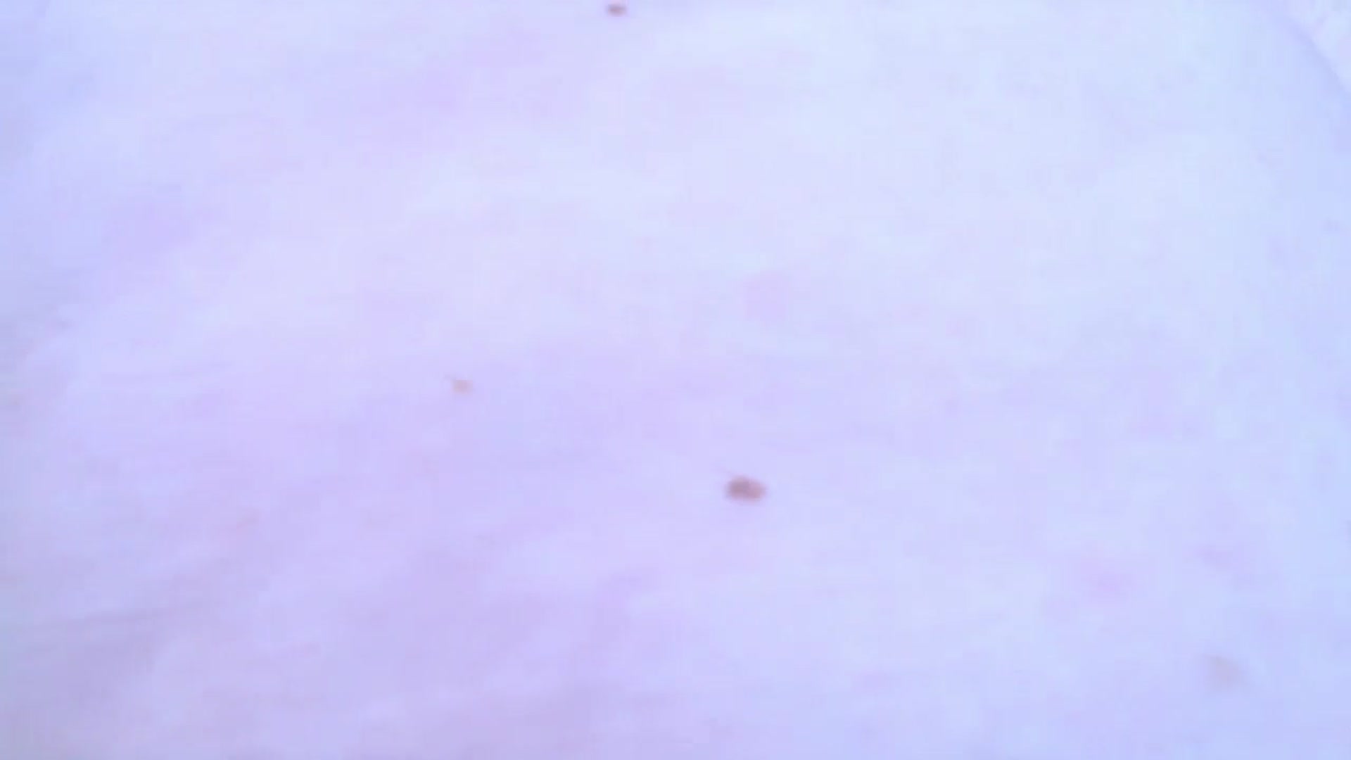 Gallery image thumbnail from Crazy_Ass's myfreecams stream on, 09/05/2024, 13:30 image 20 of 20
