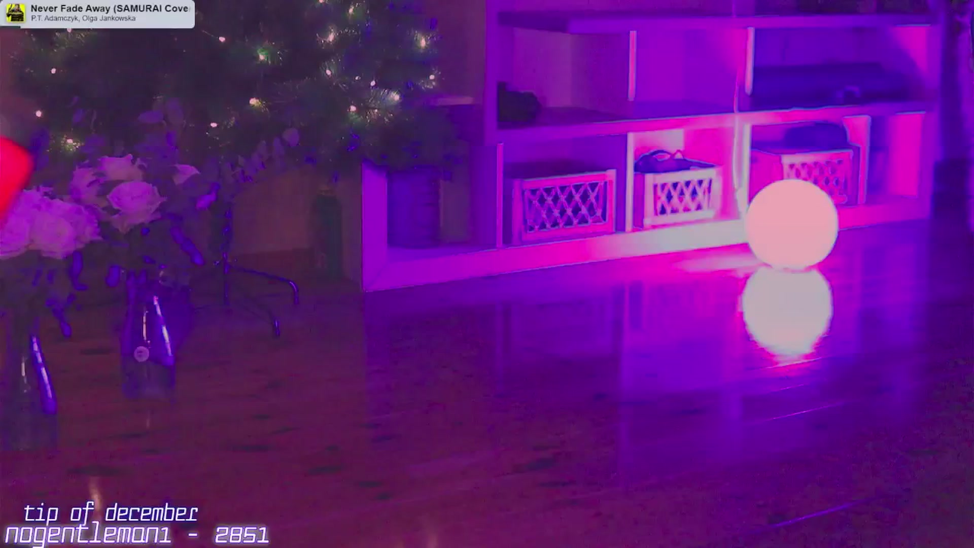 Gallery image thumbnail from Crazy_ButFree's myfreecams stream on, 12/14/2025, 20:20 image 2 of 20