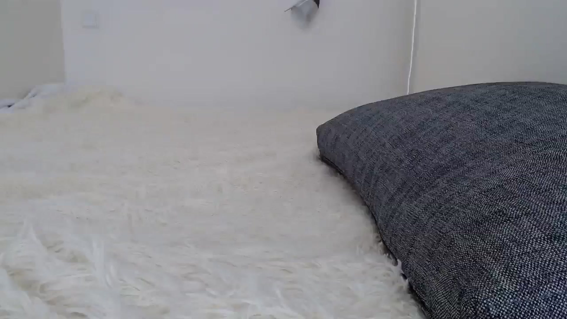 Gallery image thumbnail from Crazy_Fox99's myfreecams stream on, 11/30/2023, 09:44 image 5 of 20