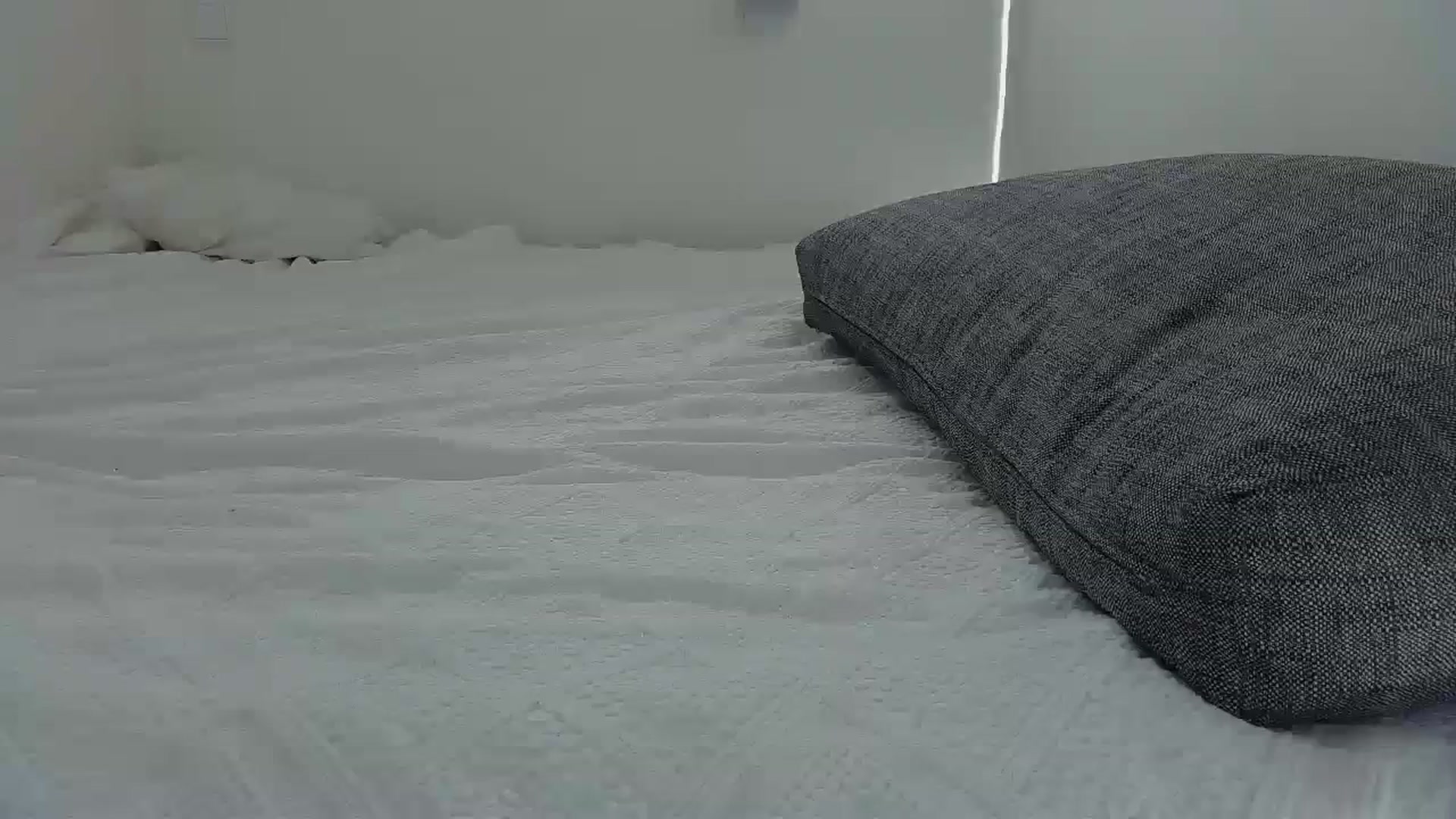 Gallery image thumbnail from Crazy_Fox99's myfreecams stream on, 04/09/2024, 09:50 image 16 of 20