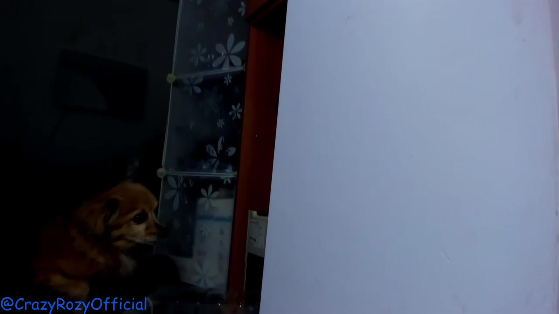 Gallery image thumbnail from Crazy_Rozy's myfreecams stream on, 11/21/2022, 19:43 image 20 of 20