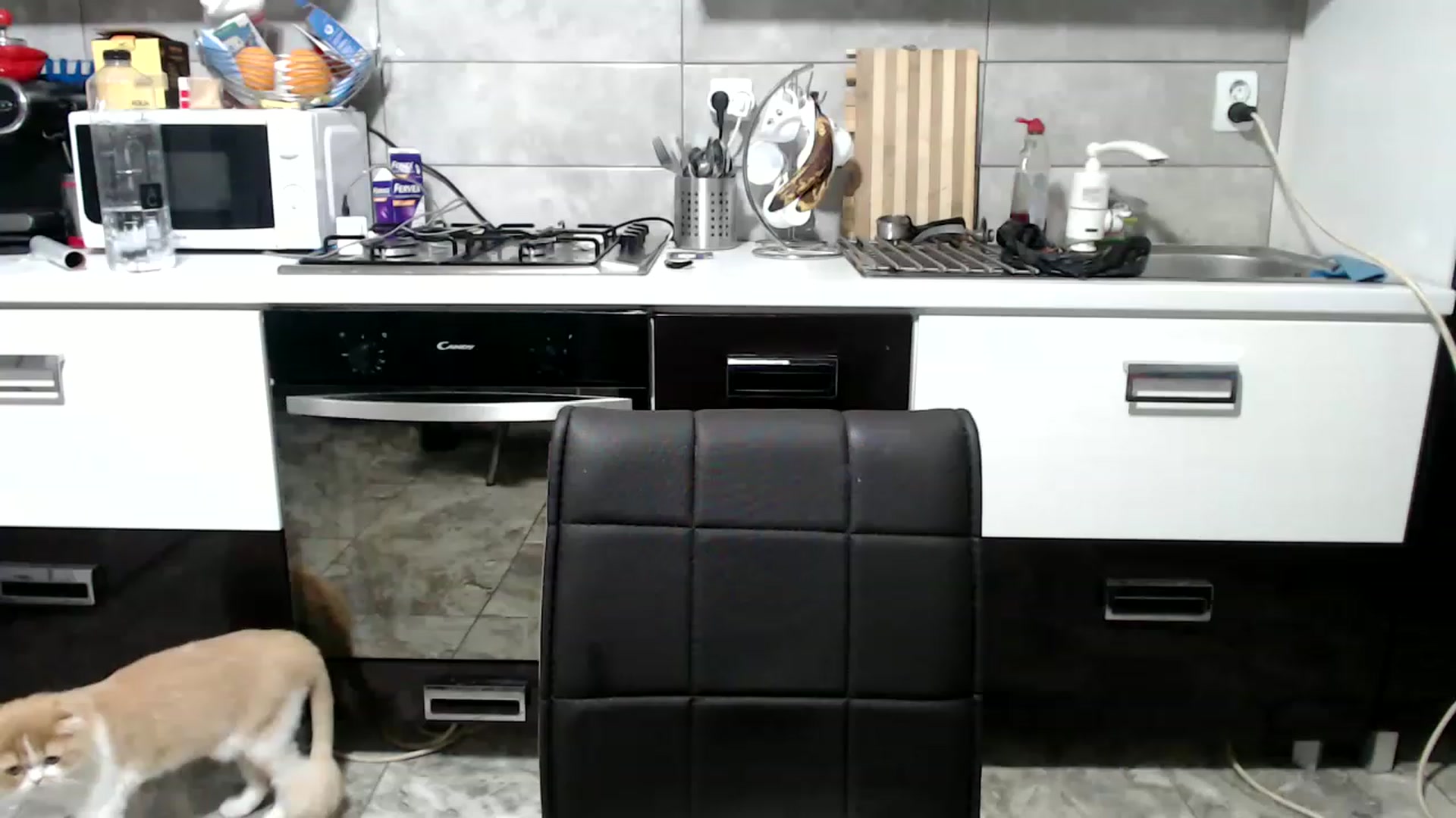 Gallery image thumbnail from Crazy__Dee's myfreecams stream on, 05/02/2023, 22:38 image 4 of 20