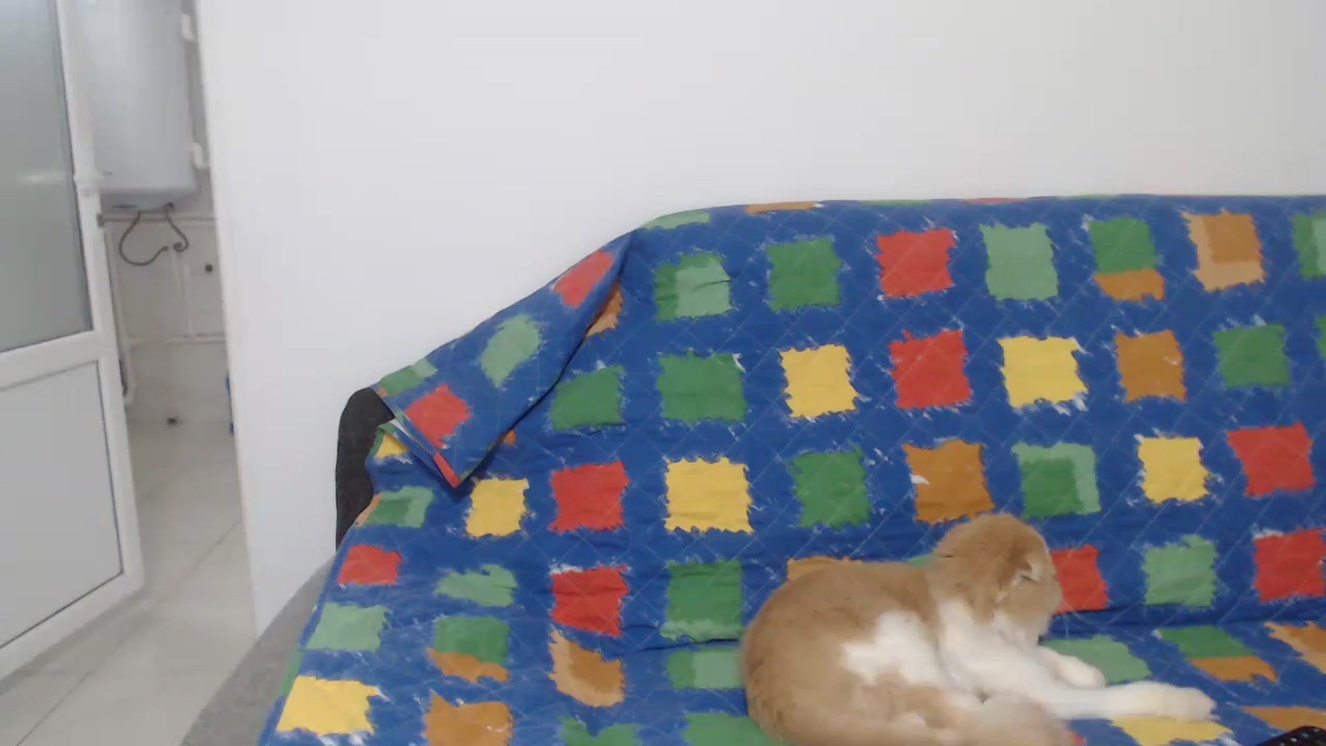 Gallery image thumbnail from Crazy__Dee's myfreecams stream on, 05/12/2023, 15:51 image 4 of 20