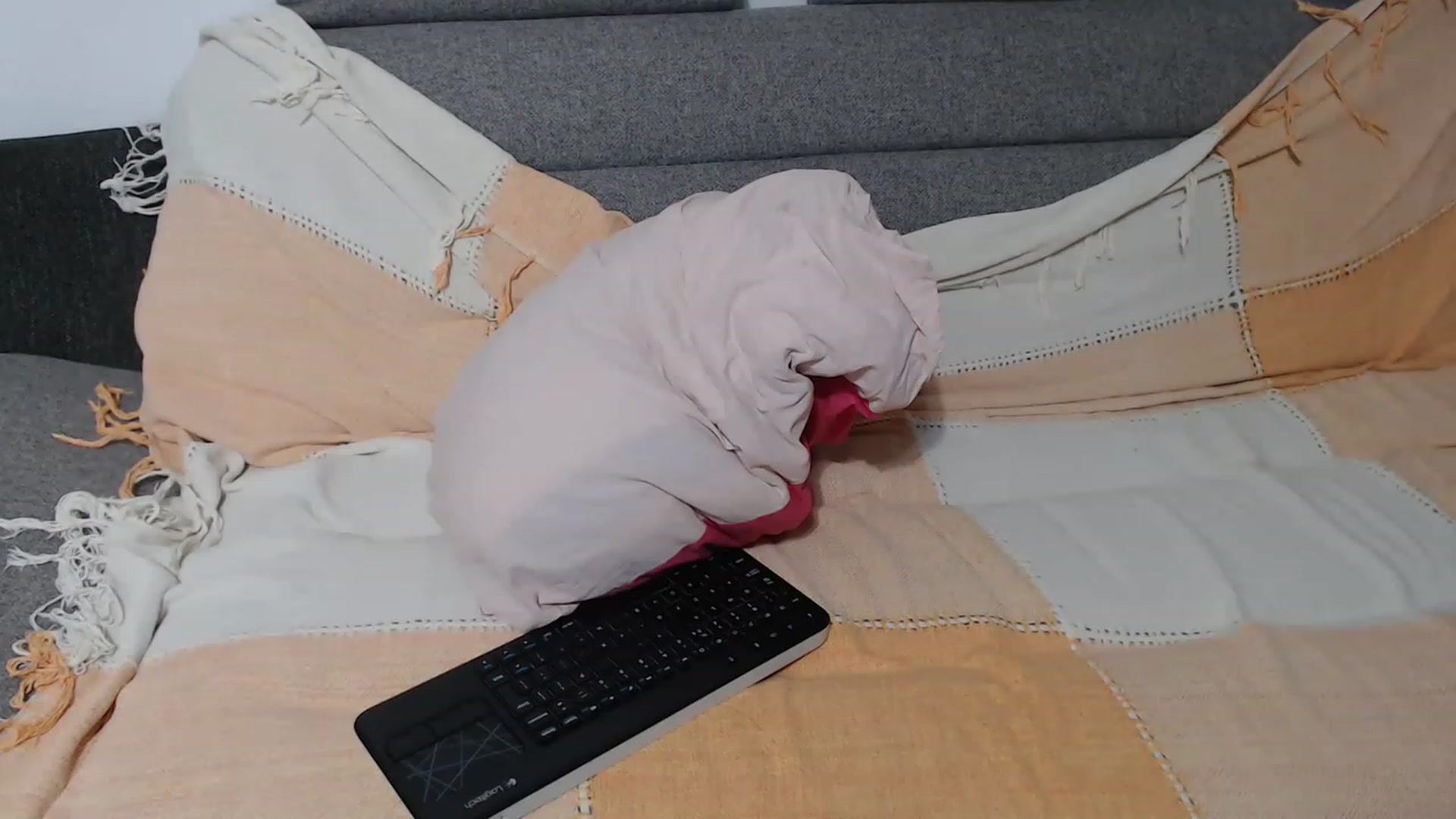Gallery image thumbnail from Crazy__Dee's myfreecams stream on, 06/15/2023, 22:00 image 11 of 20
