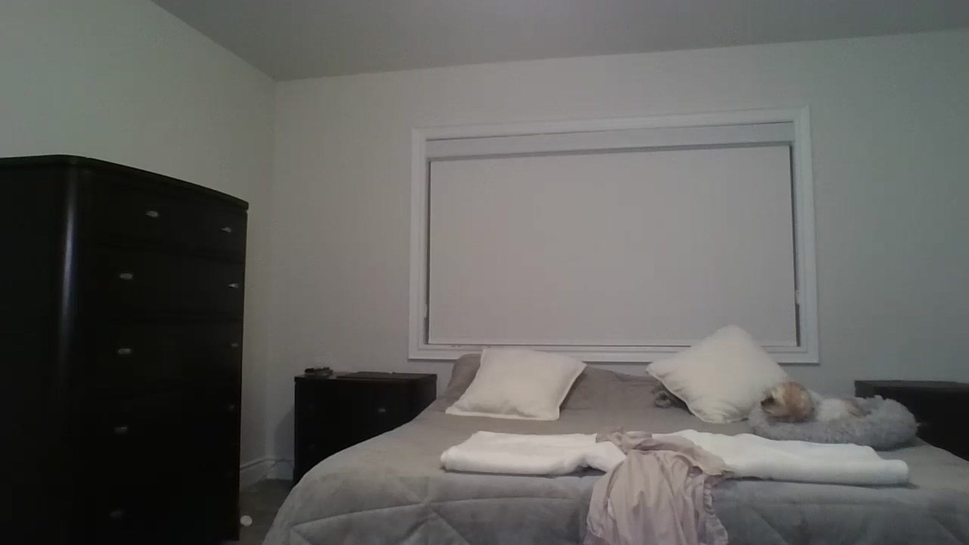 Gallery image thumbnail from Crystaaal's myfreecams stream on, 08/20/2024, 03:01 image 8 of 20