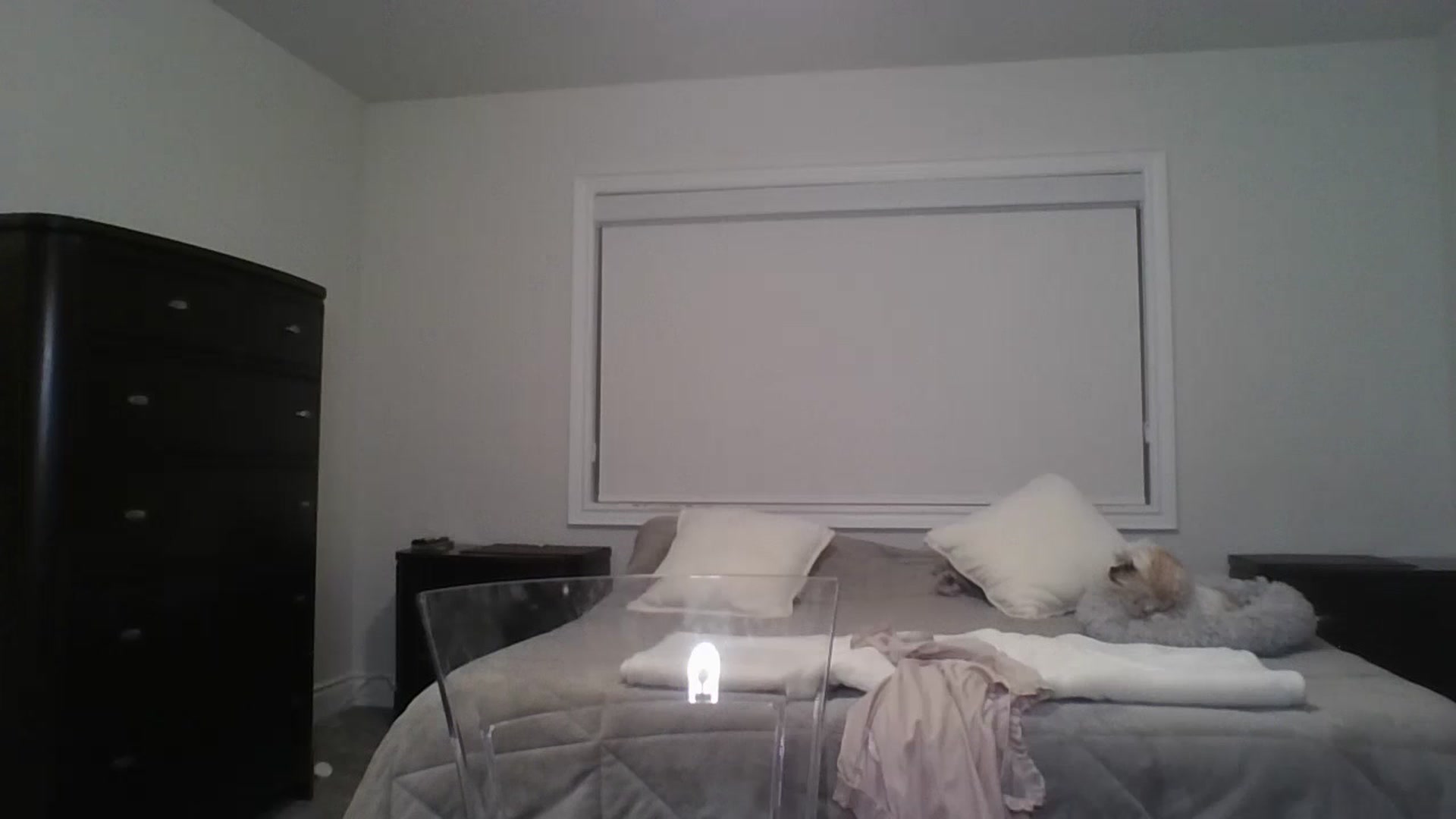 Gallery image thumbnail from Crystaaal's myfreecams stream on, 08/20/2024, 03:01 image 13 of 20