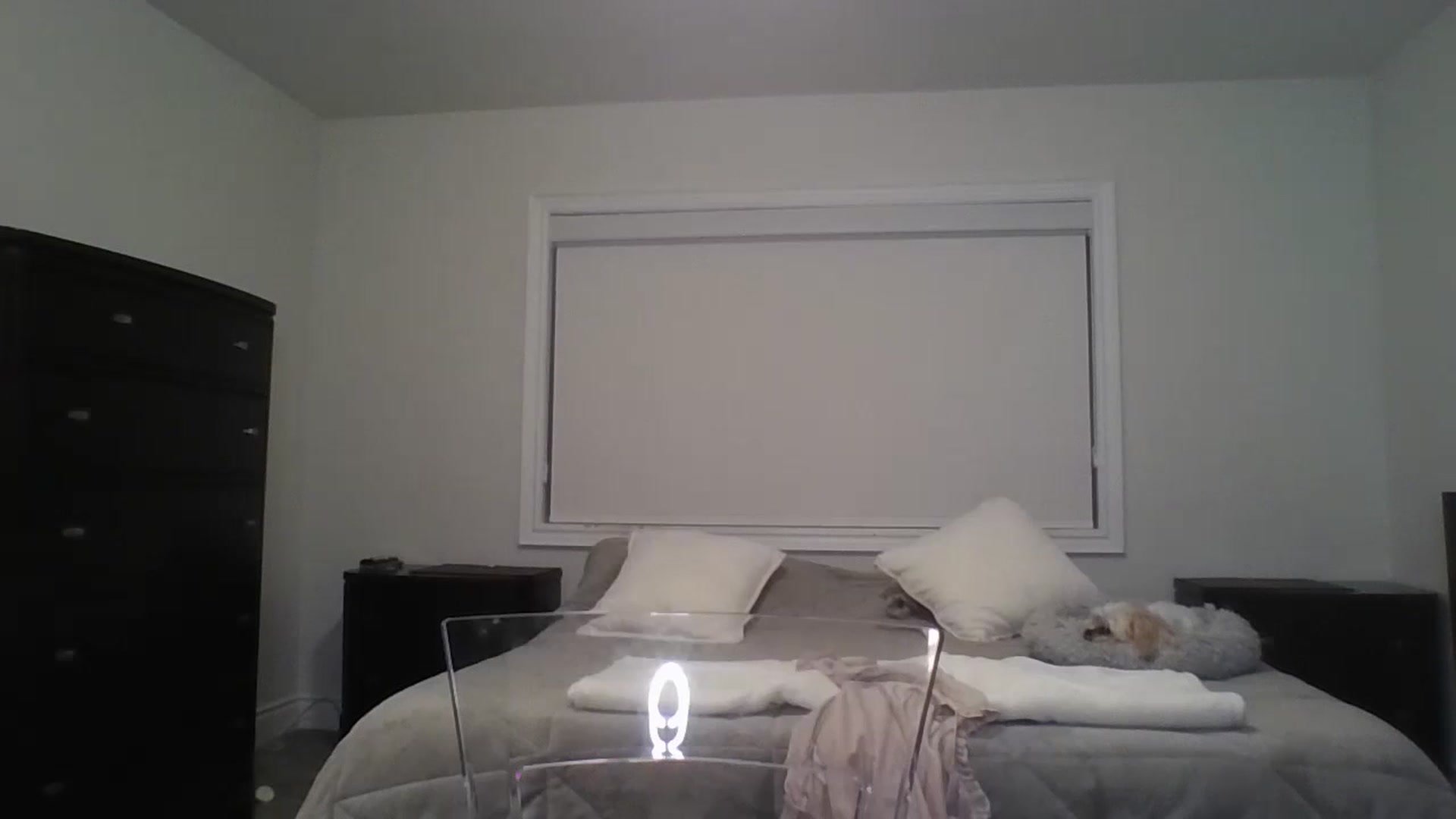 Gallery image thumbnail from Crystaaal's myfreecams stream on, 08/20/2024, 03:01 image 3 of 20
