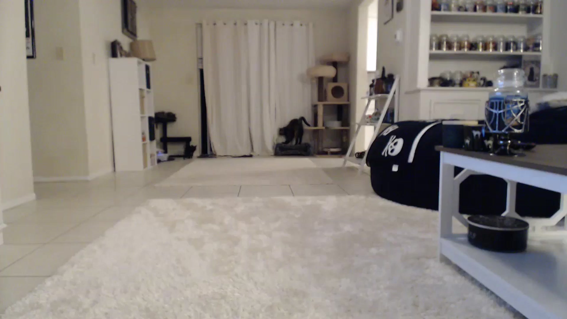 Gallery image thumbnail from CrystalLake's myfreecams stream on, 10/26/2023, 08:15 image 17 of 20