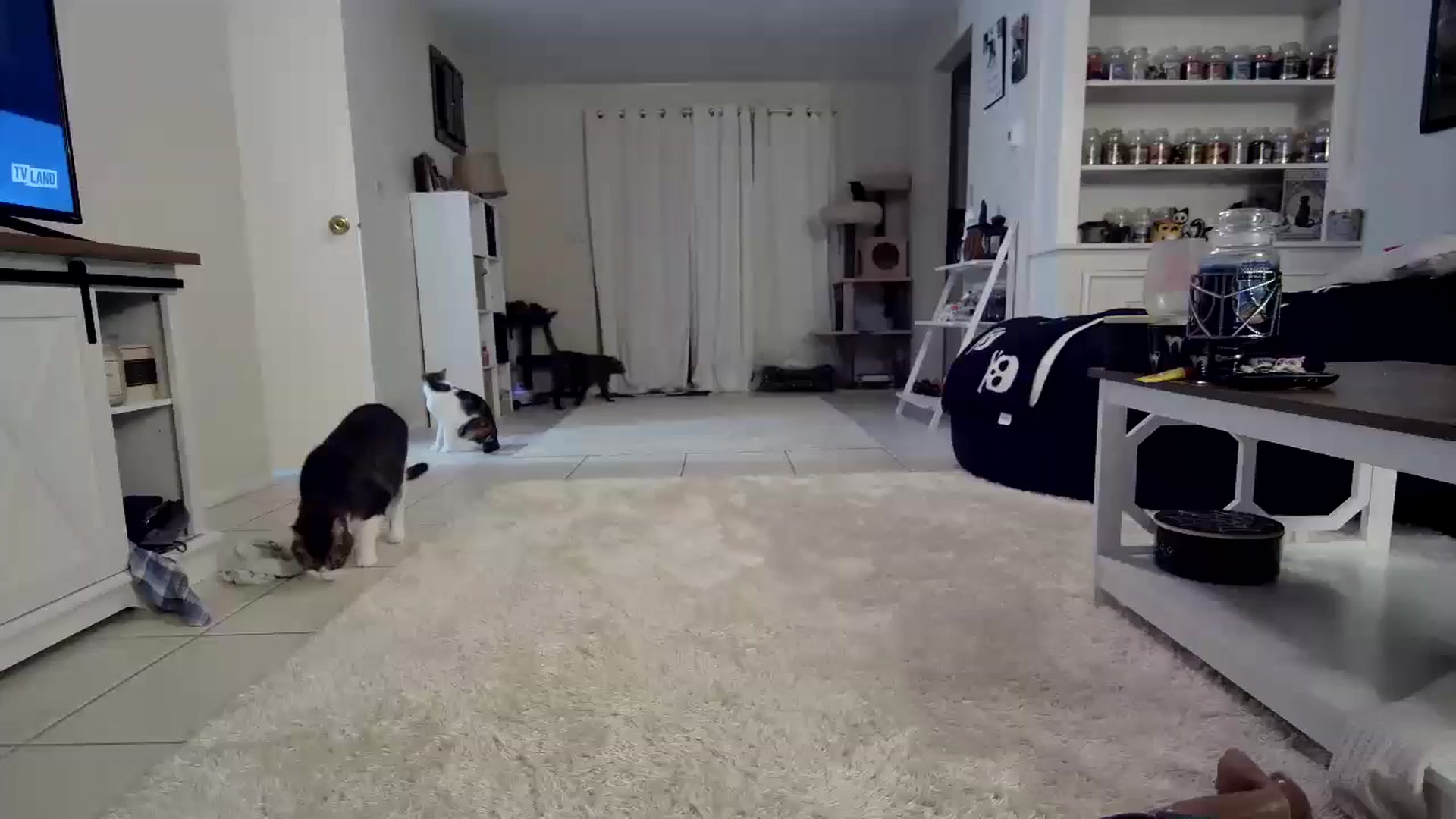 Gallery image thumbnail from CrystalLake's myfreecams stream on, 10/29/2023, 10:09 image 16 of 20