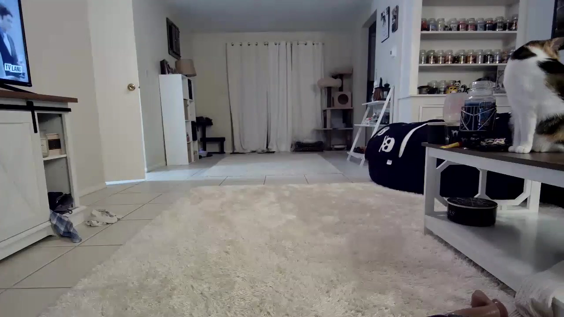 Gallery image thumbnail from CrystalLake's myfreecams stream on, 10/29/2023, 10:09 image 15 of 20
