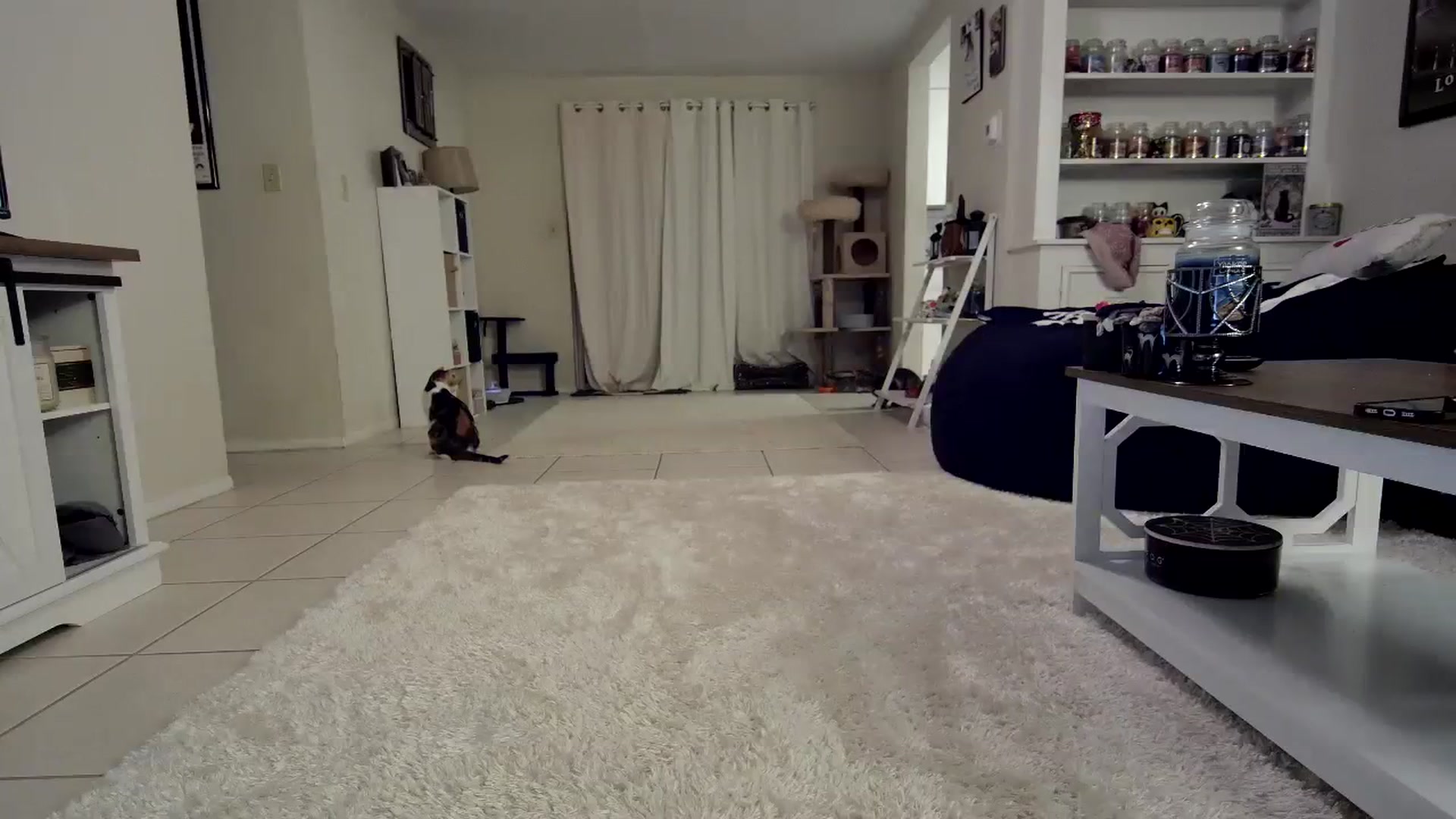 Gallery image thumbnail from CrystalLake's myfreecams stream on, 10/31/2023, 08:50 image 17 of 20
