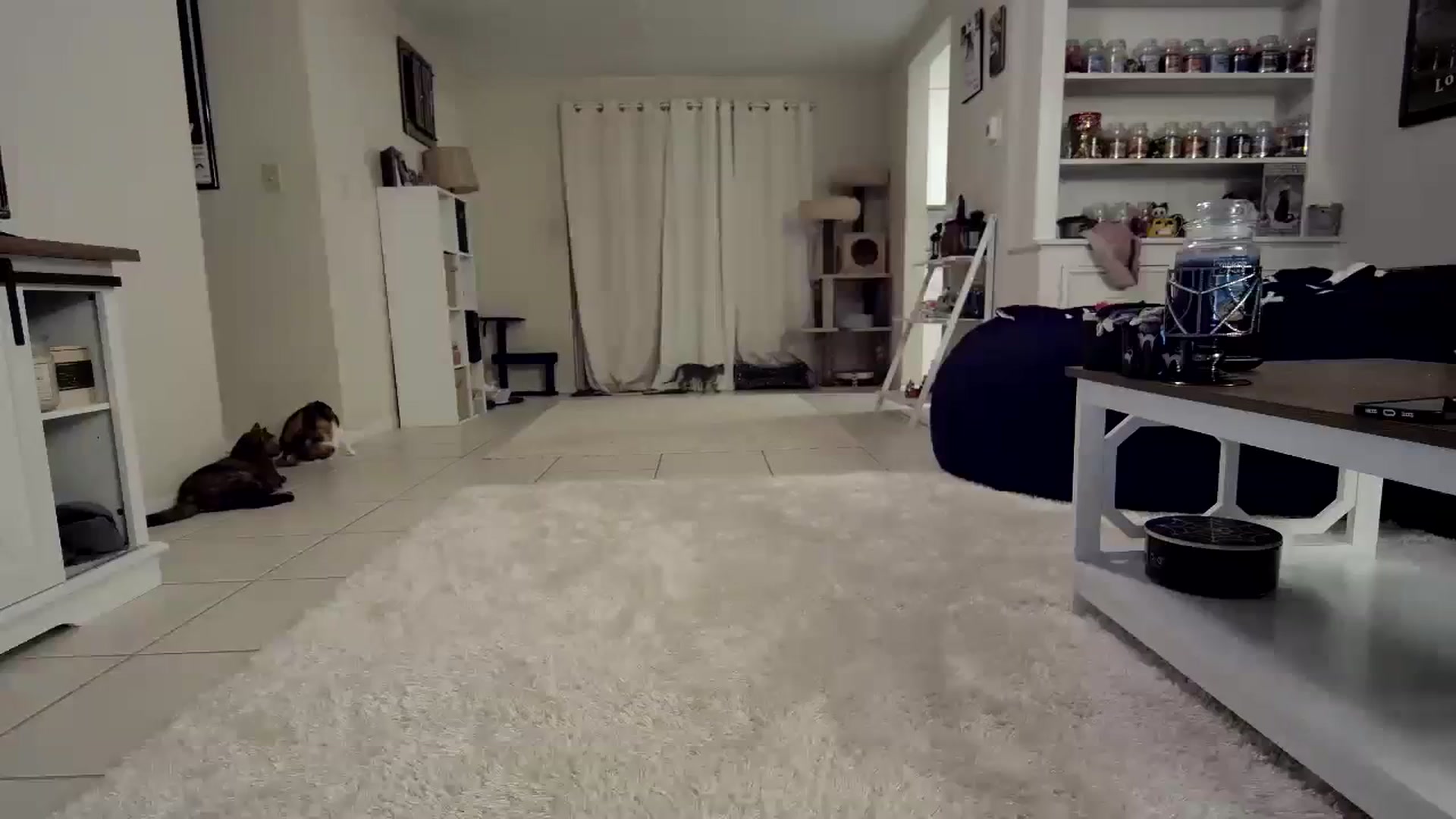 Gallery image thumbnail from CrystalLake's myfreecams stream on, 10/31/2023, 08:50 image 12 of 20