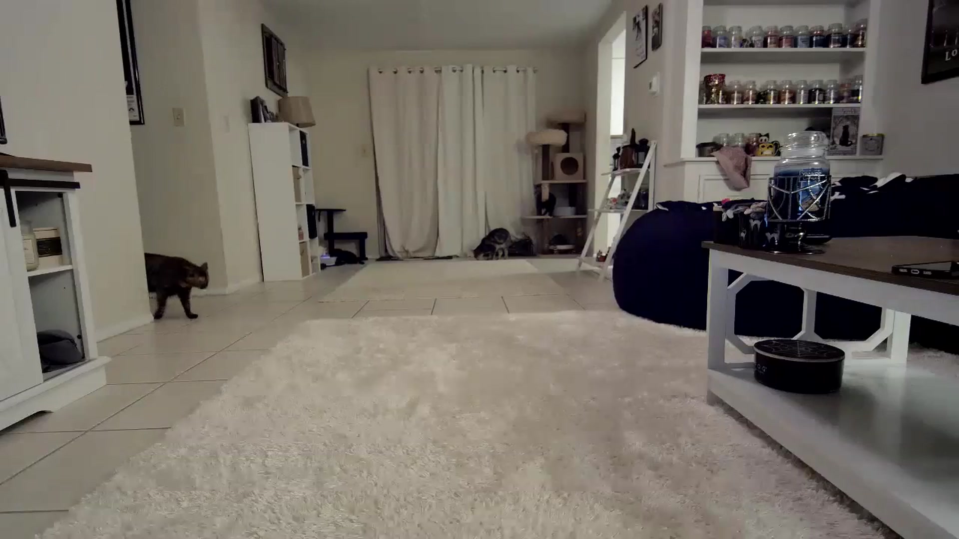 Gallery image thumbnail from CrystalLake's myfreecams stream on, 10/31/2023, 08:50 image 11 of 20