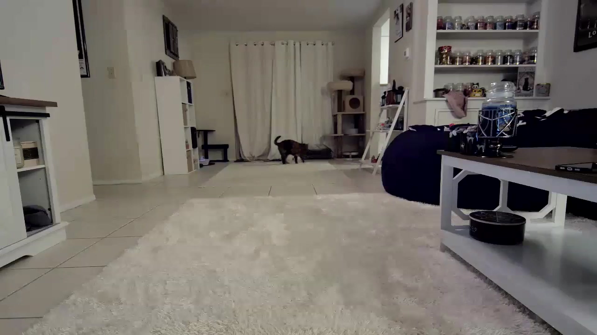 Gallery image thumbnail from CrystalLake's myfreecams stream on, 10/31/2023, 08:50 image 14 of 20