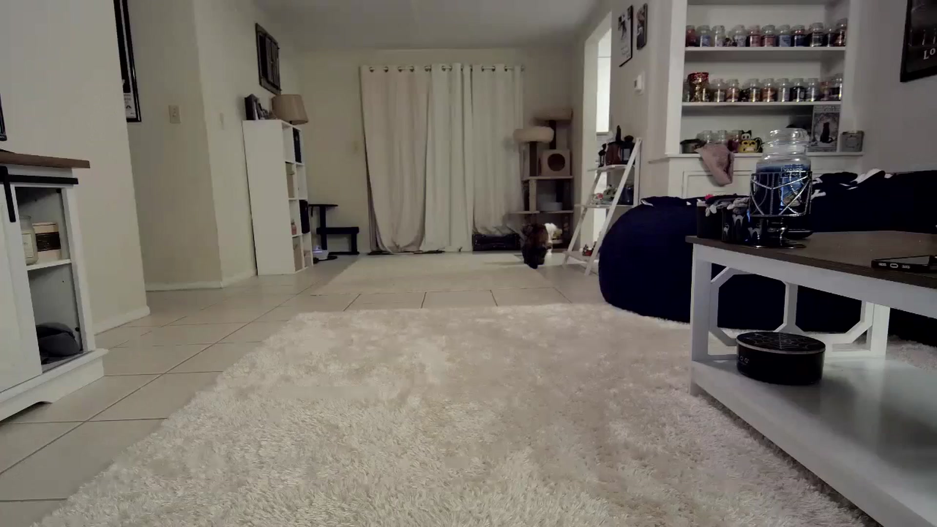 Gallery image thumbnail from CrystalLake's myfreecams stream on, 10/31/2023, 08:50 image 13 of 20