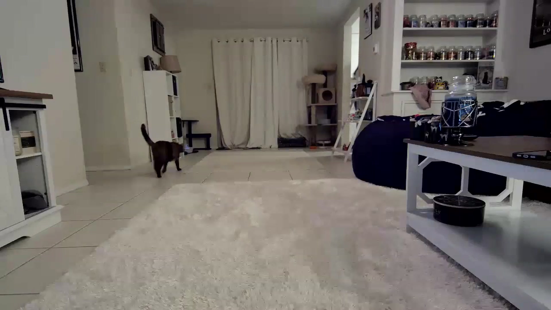 Gallery image thumbnail from CrystalLake's myfreecams stream on, 10/31/2023, 08:50 image 15 of 20