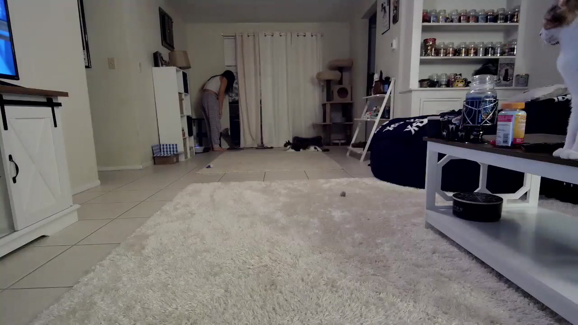 Gallery image thumbnail from CrystalLake's myfreecams stream on, 11/05/2023, 09:21 image 15 of 20