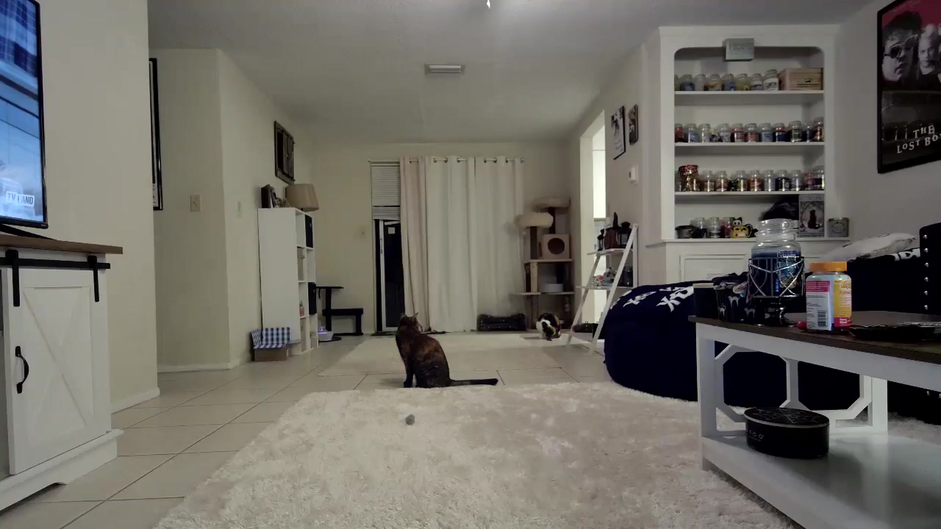 Gallery image thumbnail from CrystalLake's myfreecams stream on, 11/05/2023, 09:21 image 17 of 20