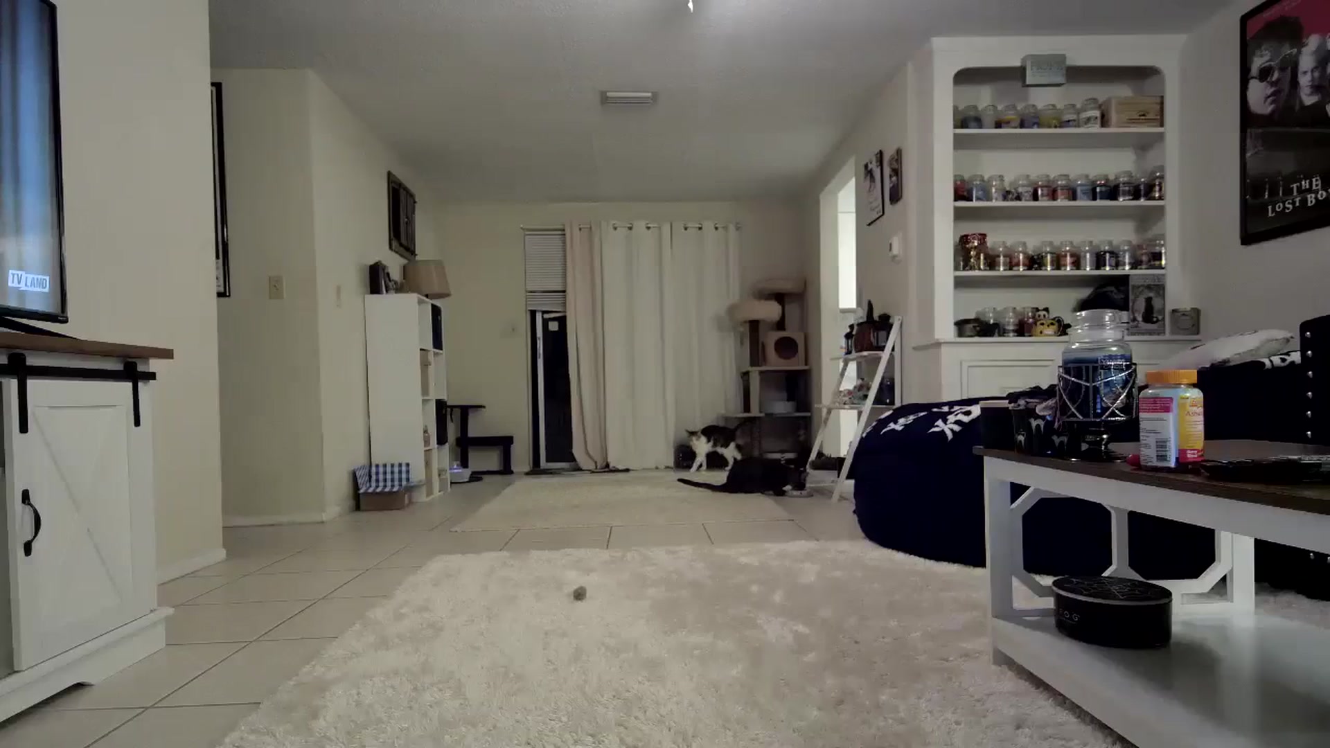 Gallery image thumbnail from CrystalLake's myfreecams stream on, 11/05/2023, 09:21 image 19 of 20