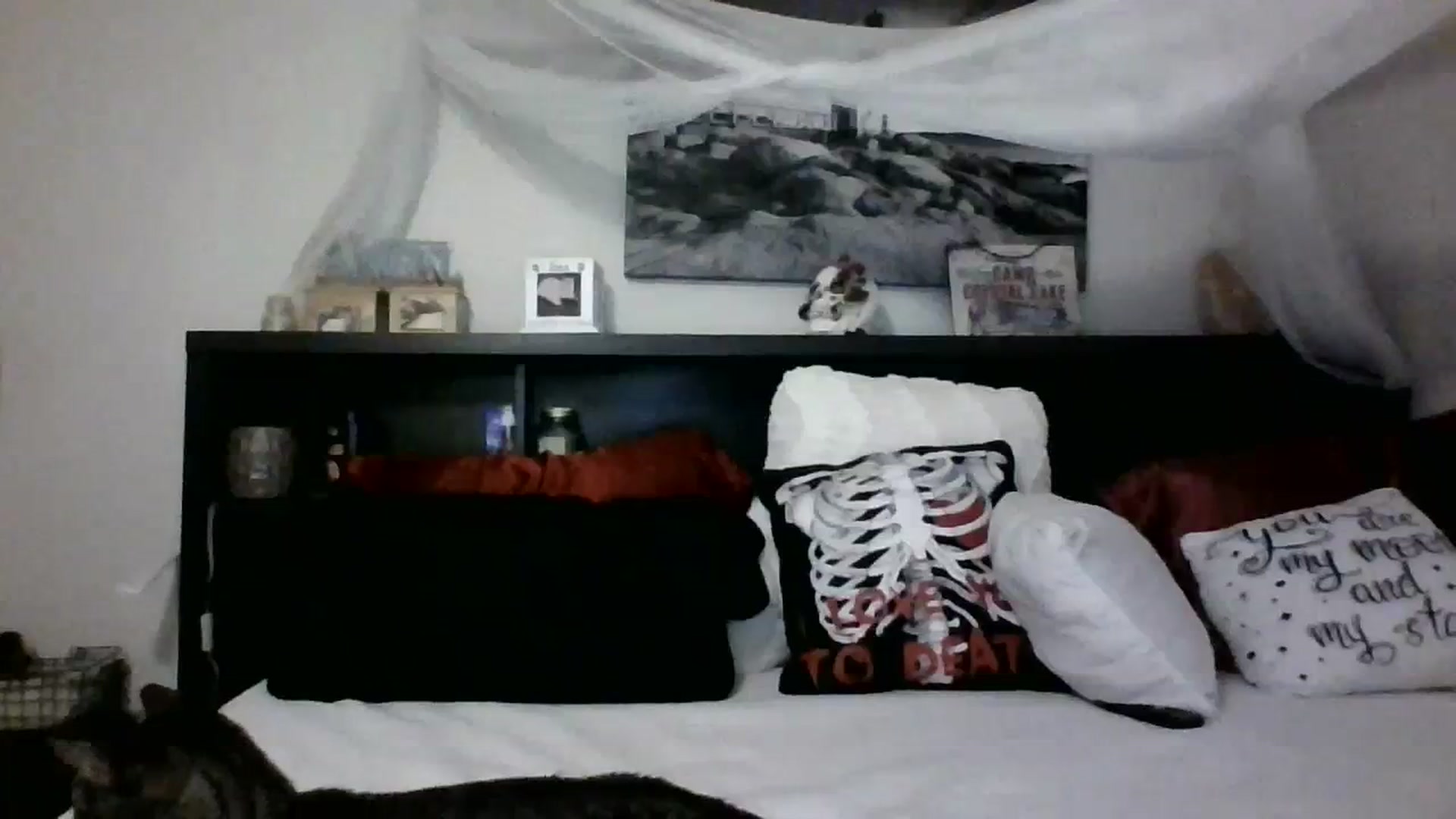 Gallery image thumbnail from CrystalLake's myfreecams stream on, 11/08/2023, 10:37 image 14 of 20