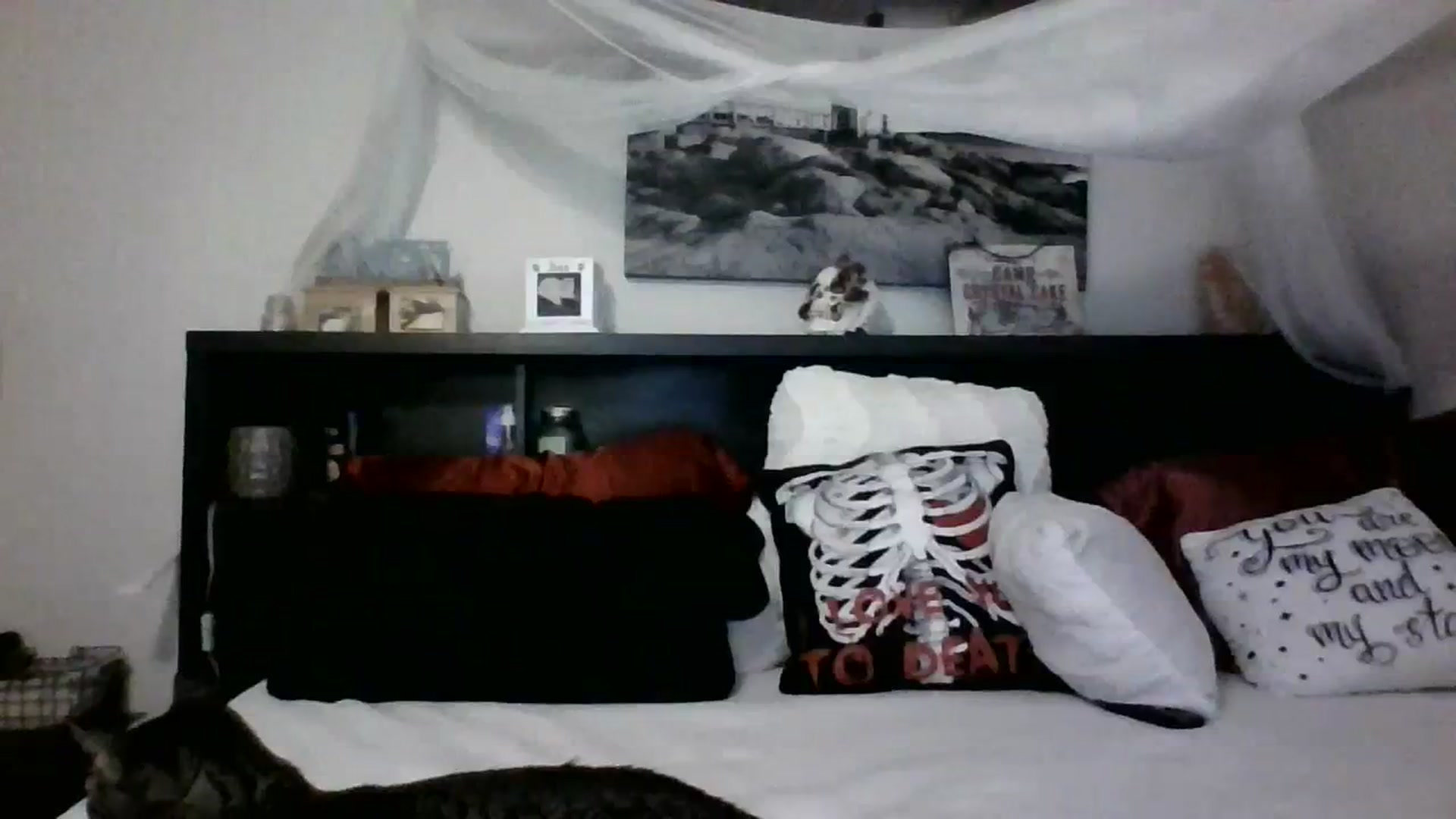 Gallery image thumbnail from CrystalLake's myfreecams stream on, 11/08/2023, 10:37 image 9 of 20