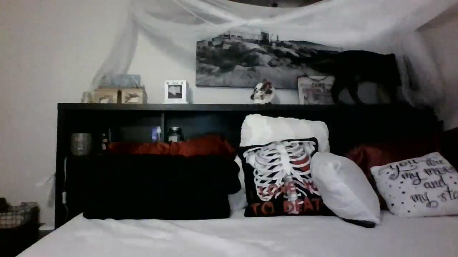Gallery image thumbnail from CrystalLake's myfreecams stream on, 11/08/2023, 10:37 image 5 of 20