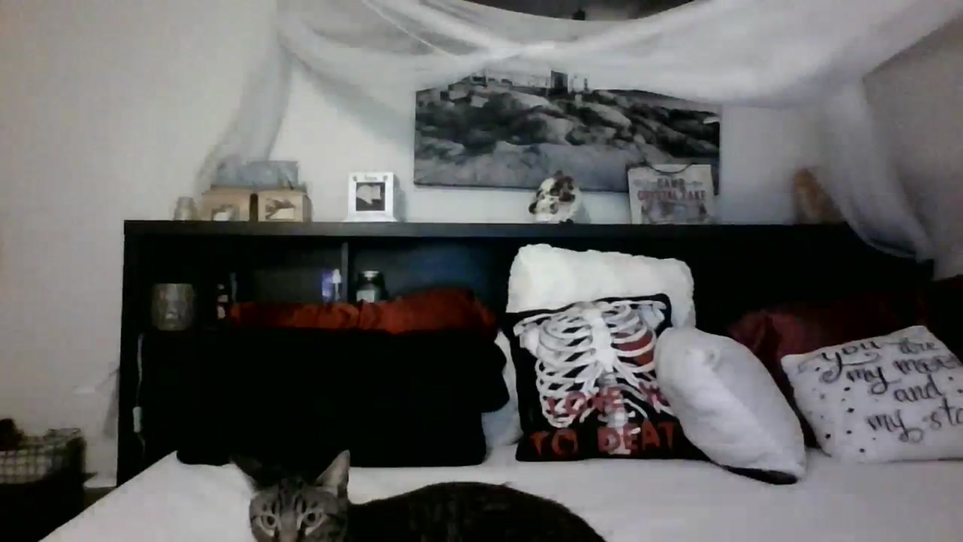Gallery image thumbnail from CrystalLake's myfreecams stream on, 11/08/2023, 10:37 image 6 of 20