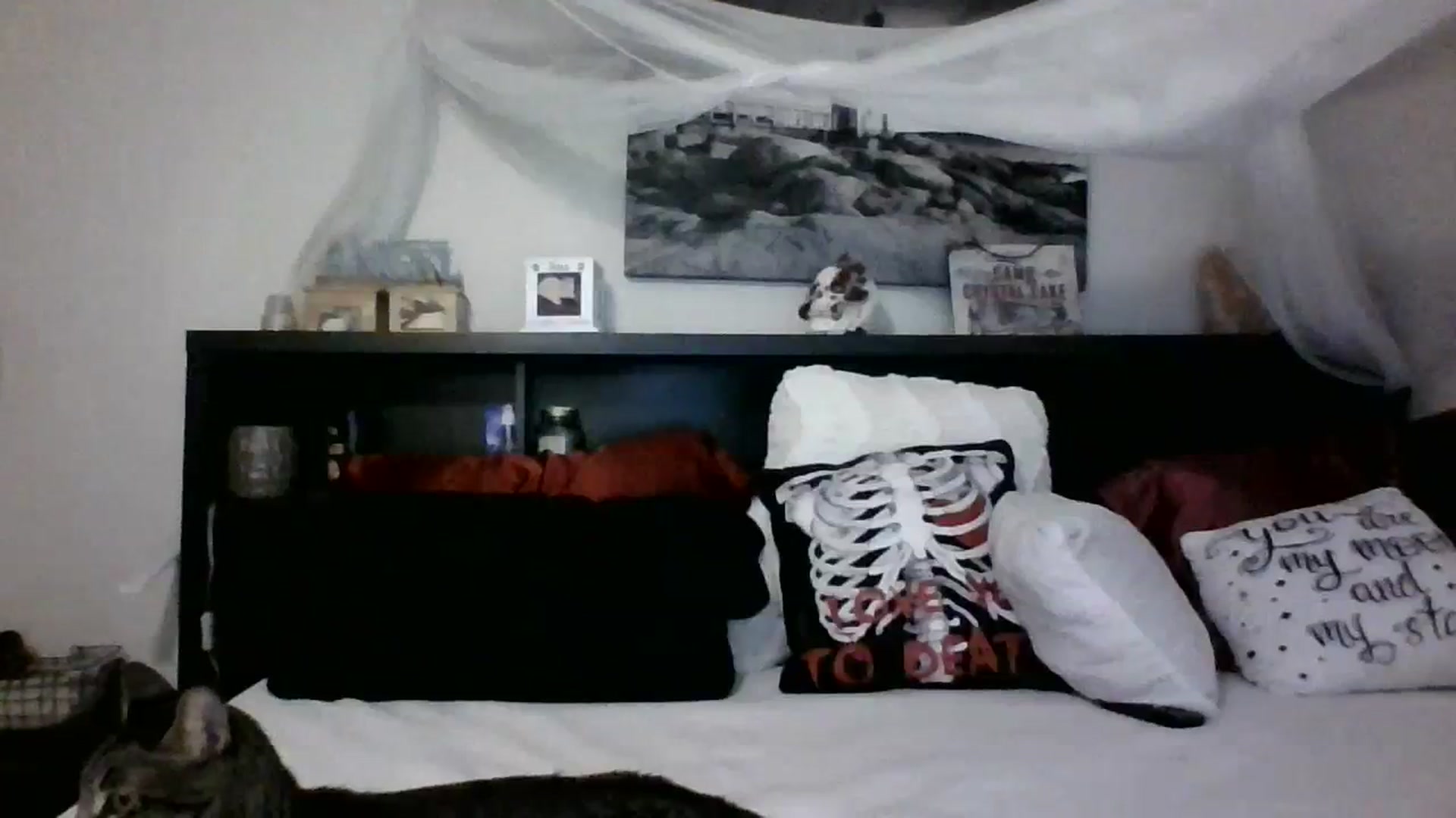 Gallery image thumbnail from CrystalLake's myfreecams stream on, 11/08/2023, 10:37 image 12 of 20