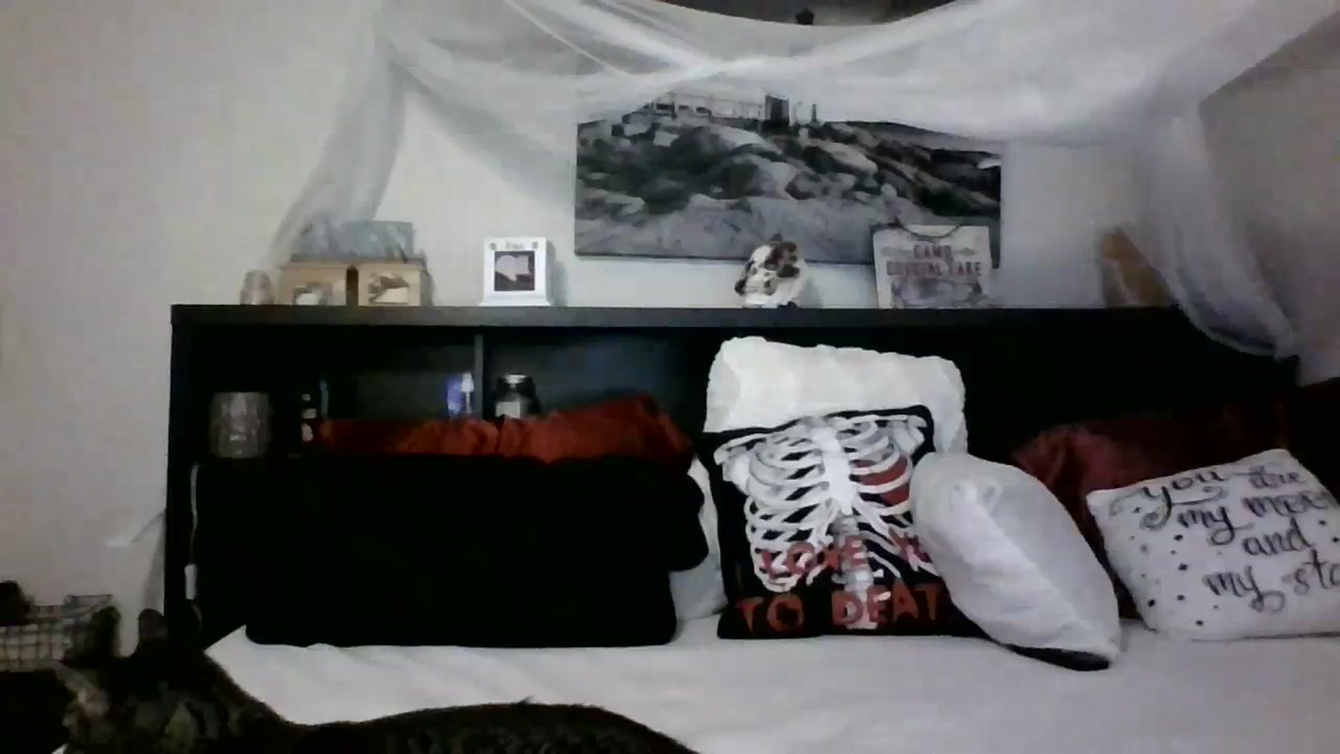 Gallery image thumbnail from CrystalLake's myfreecams stream on, 11/08/2023, 10:37 image 8 of 20