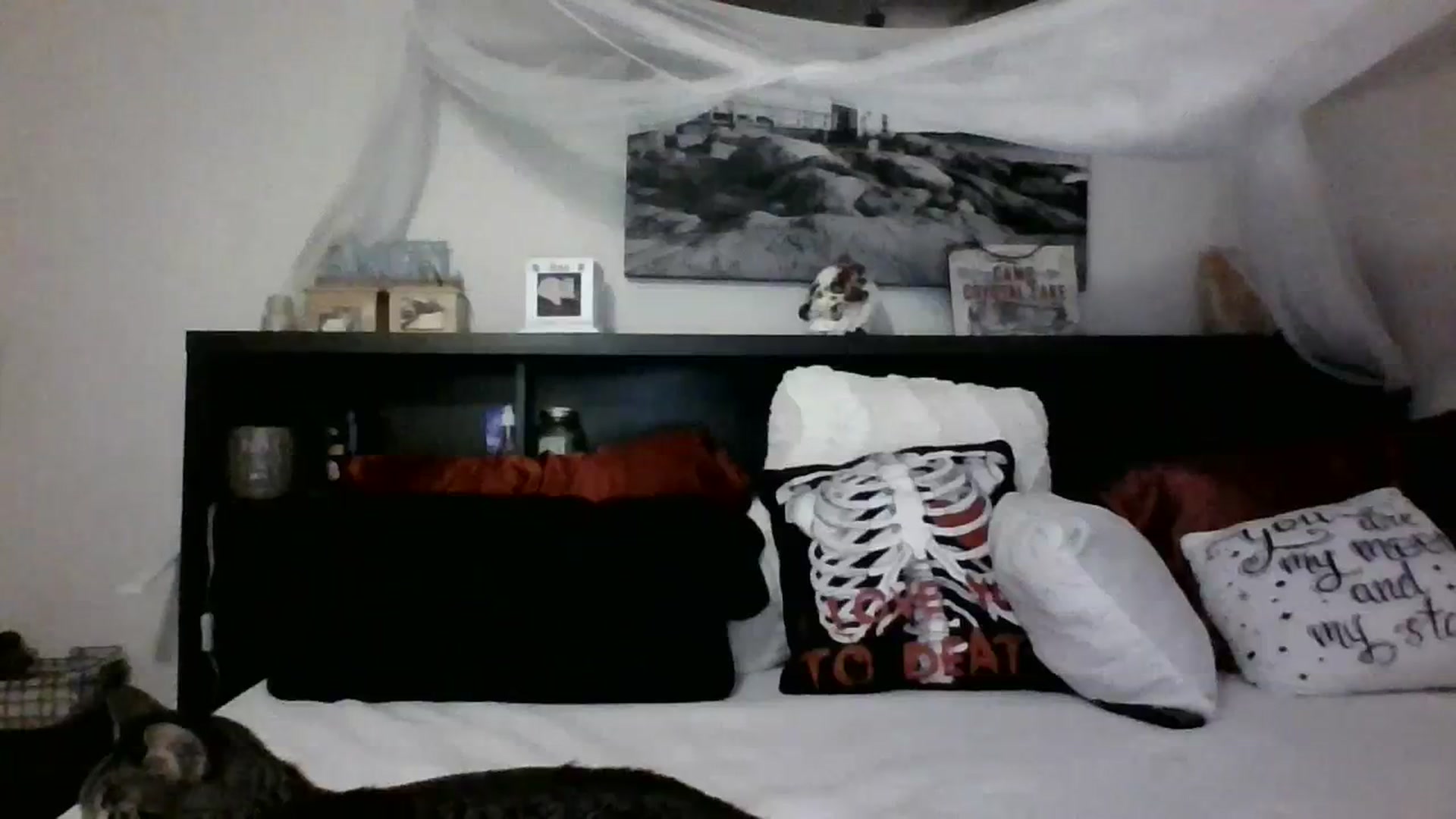 Gallery image thumbnail from CrystalLake's myfreecams stream on, 11/08/2023, 10:37 image 11 of 20