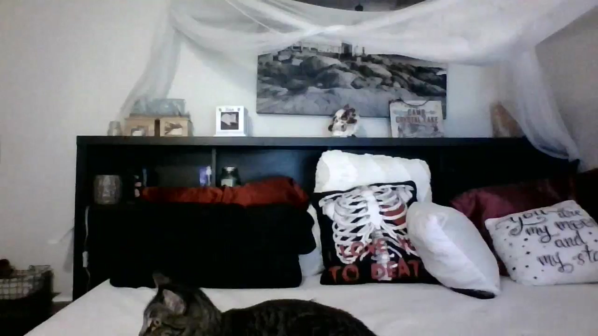 Gallery image thumbnail from CrystalLake's myfreecams stream on, 11/08/2023, 10:37 image 7 of 20