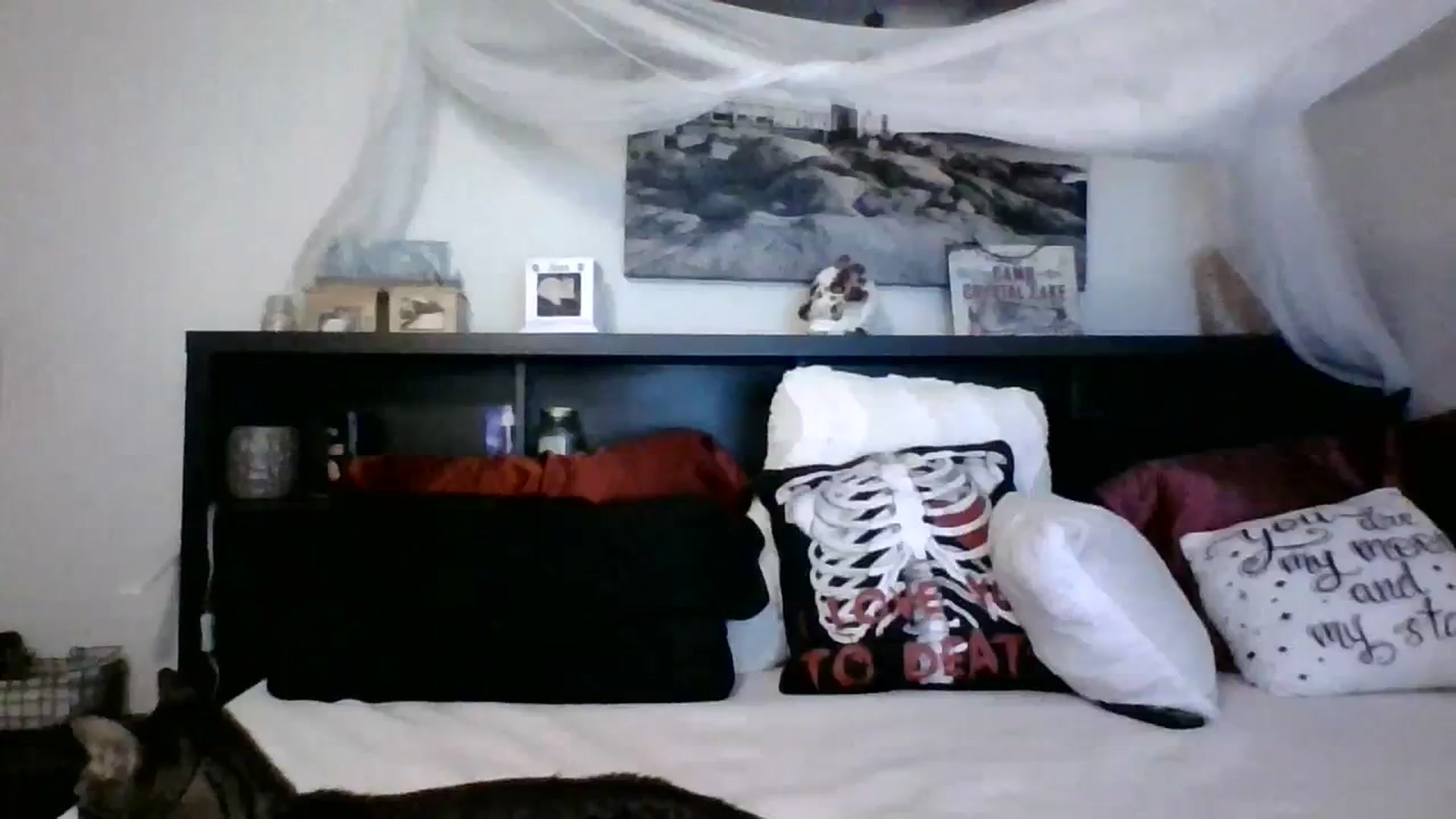 Gallery image thumbnail from CrystalLake's myfreecams stream on, 11/08/2023, 10:37 image 15 of 20