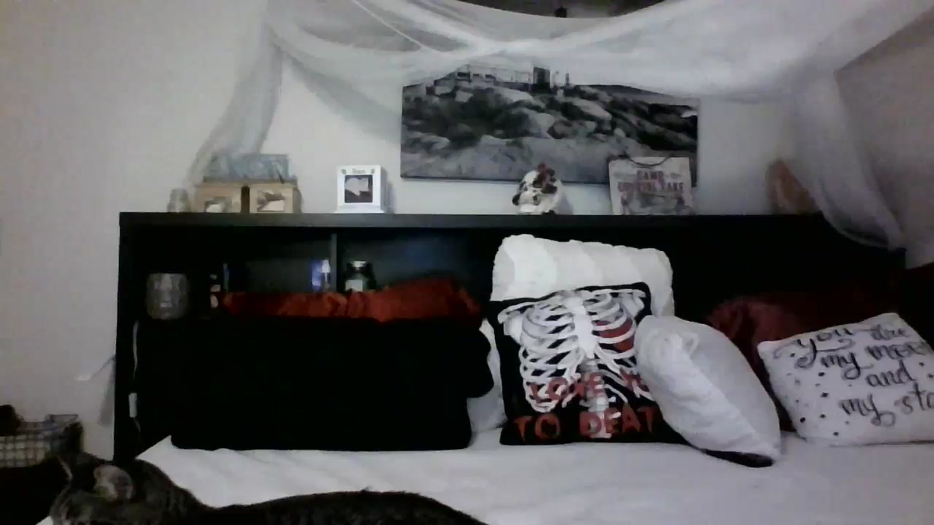 Gallery image thumbnail from CrystalLake's myfreecams stream on, 11/08/2023, 10:37 image 10 of 20