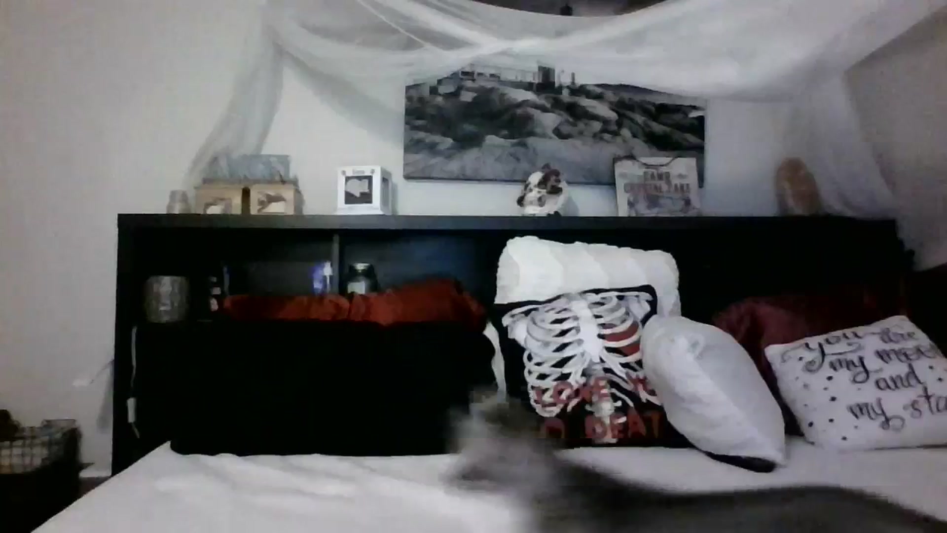 Gallery image thumbnail from CrystalLake's myfreecams stream on, 11/08/2023, 10:37 image 2 of 20