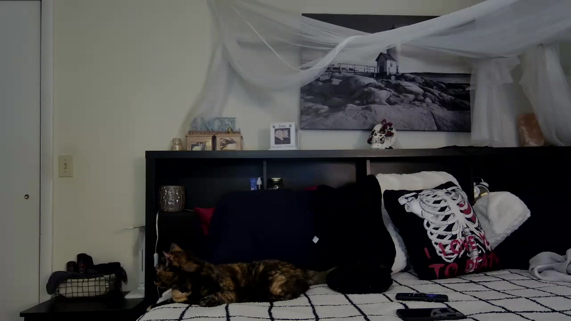 Gallery image thumbnail from CrystalLake's myfreecams stream on, 11/13/2023, 11:12 image 20 of 20