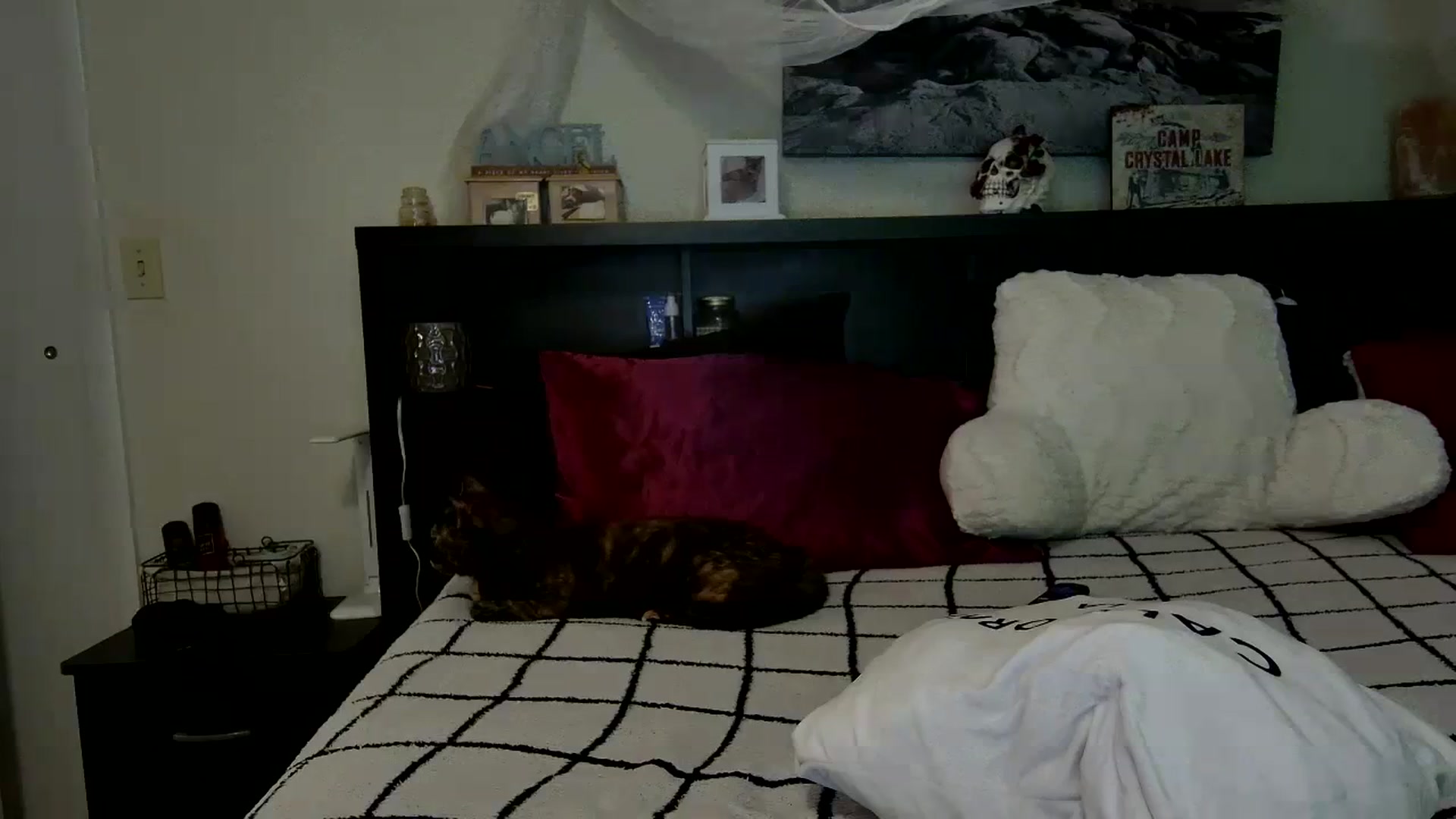 Gallery image thumbnail from CrystalLake's myfreecams stream on, 11/15/2023, 10:53 image 19 of 20