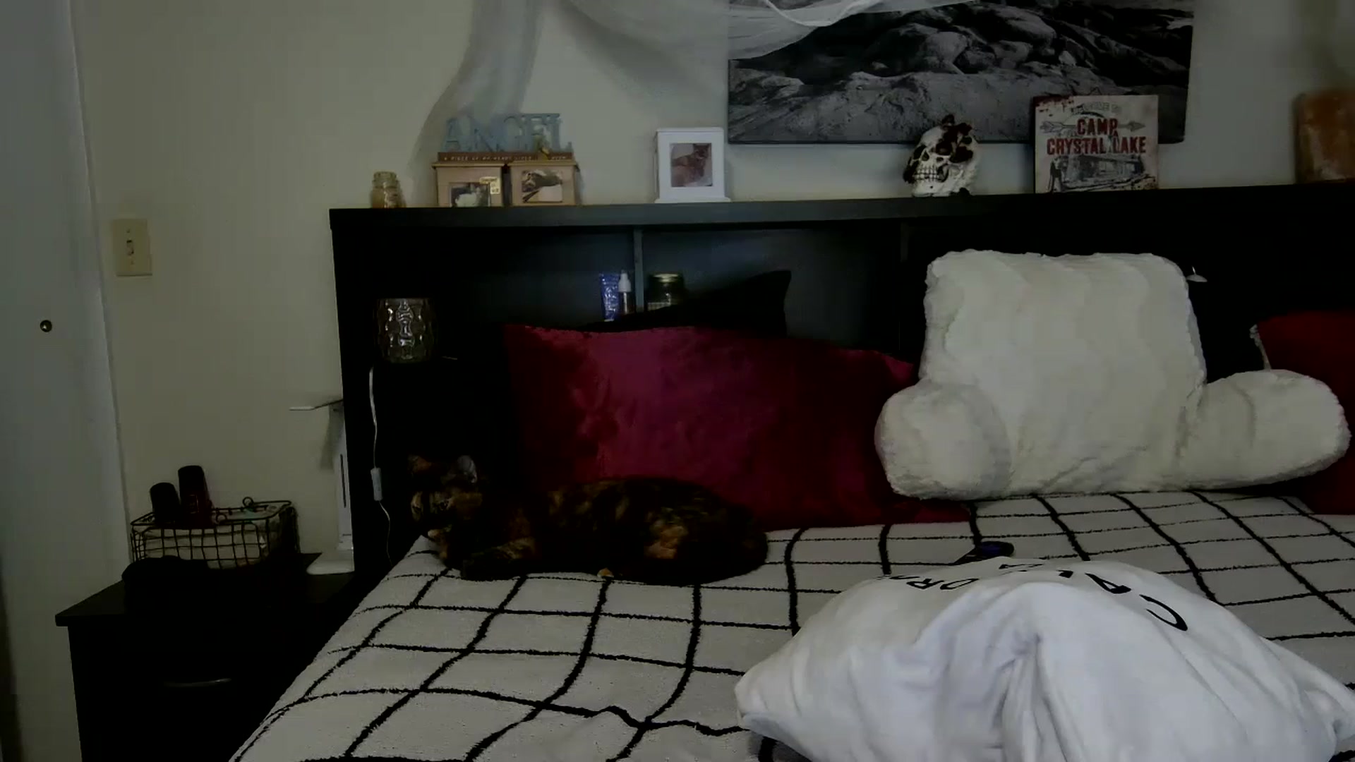 Gallery image thumbnail from CrystalLake's myfreecams stream on, 11/15/2023, 10:53 image 18 of 20
