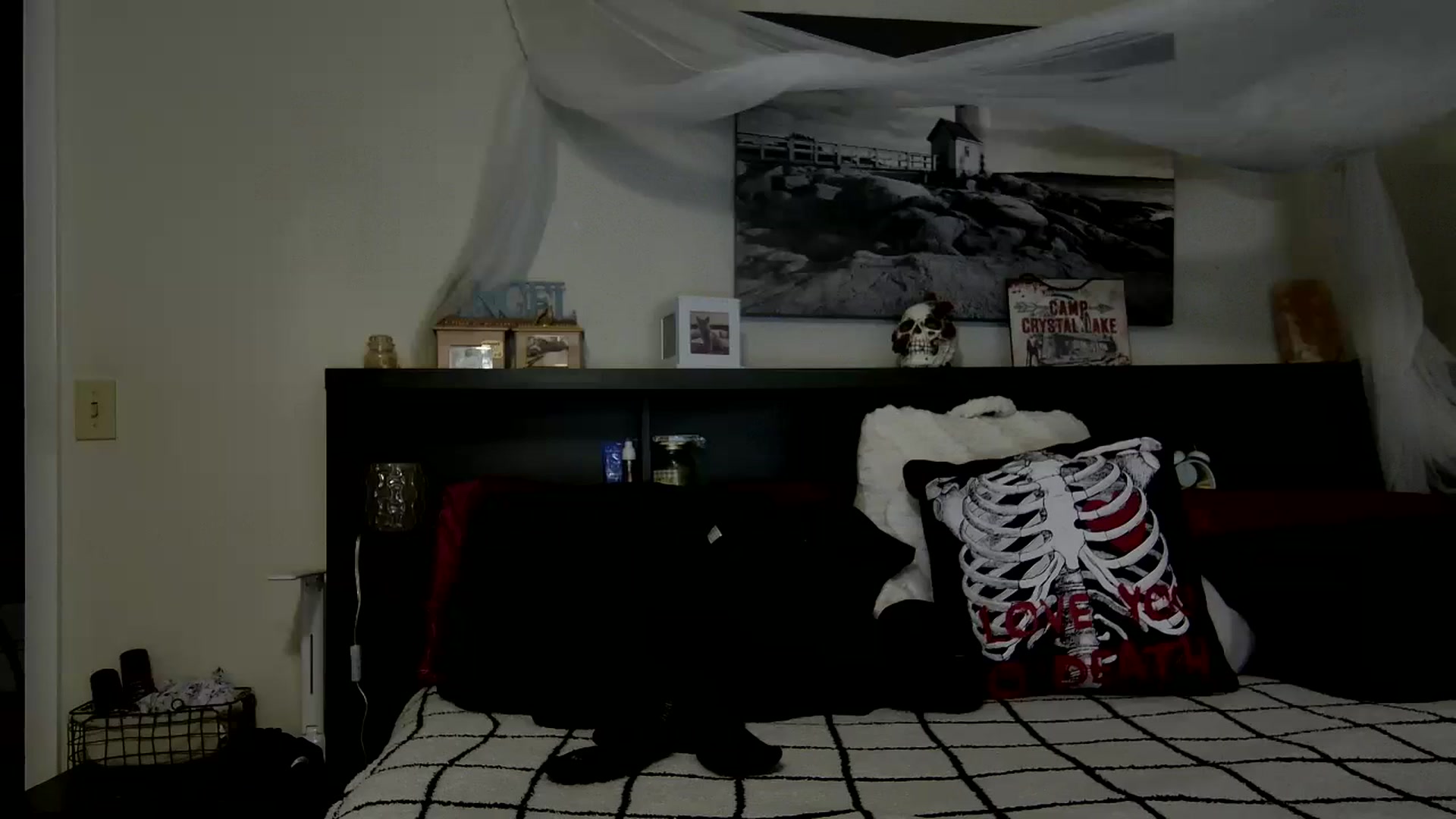 Gallery image thumbnail from CrystalLake's myfreecams stream on, 11/20/2023, 10:40 image 15 of 20
