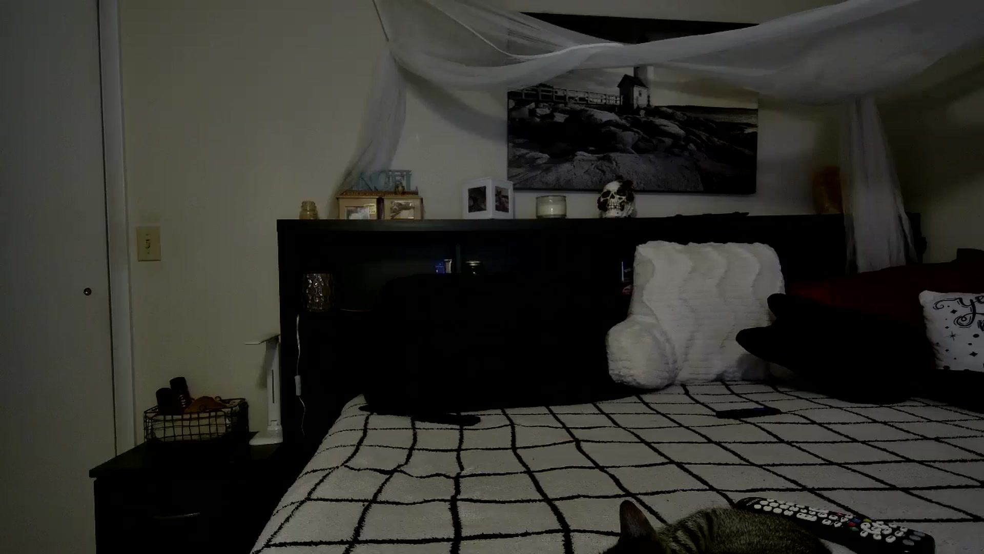 Gallery image thumbnail from CrystalLake's myfreecams stream on, 11/24/2023, 10:22 image 17 of 20