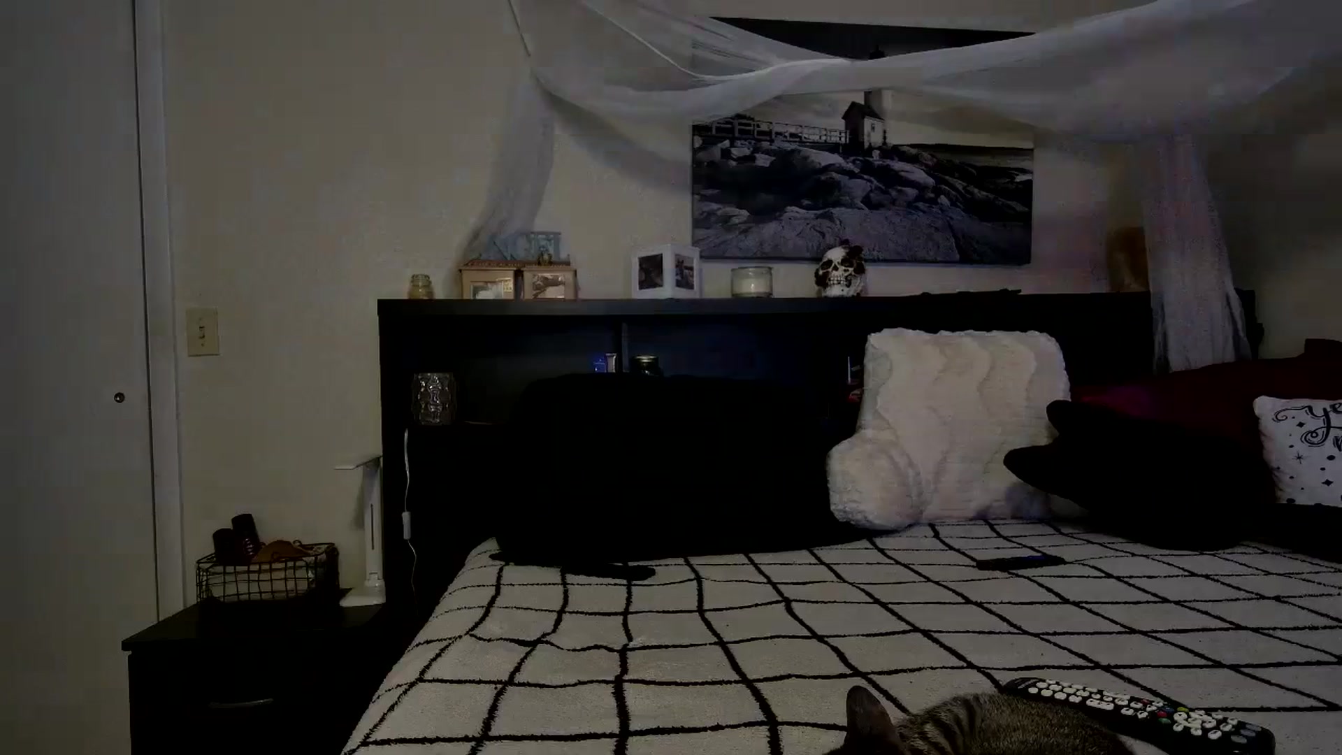 Gallery image thumbnail from CrystalLake's myfreecams stream on, 11/24/2023, 10:22 image 18 of 20