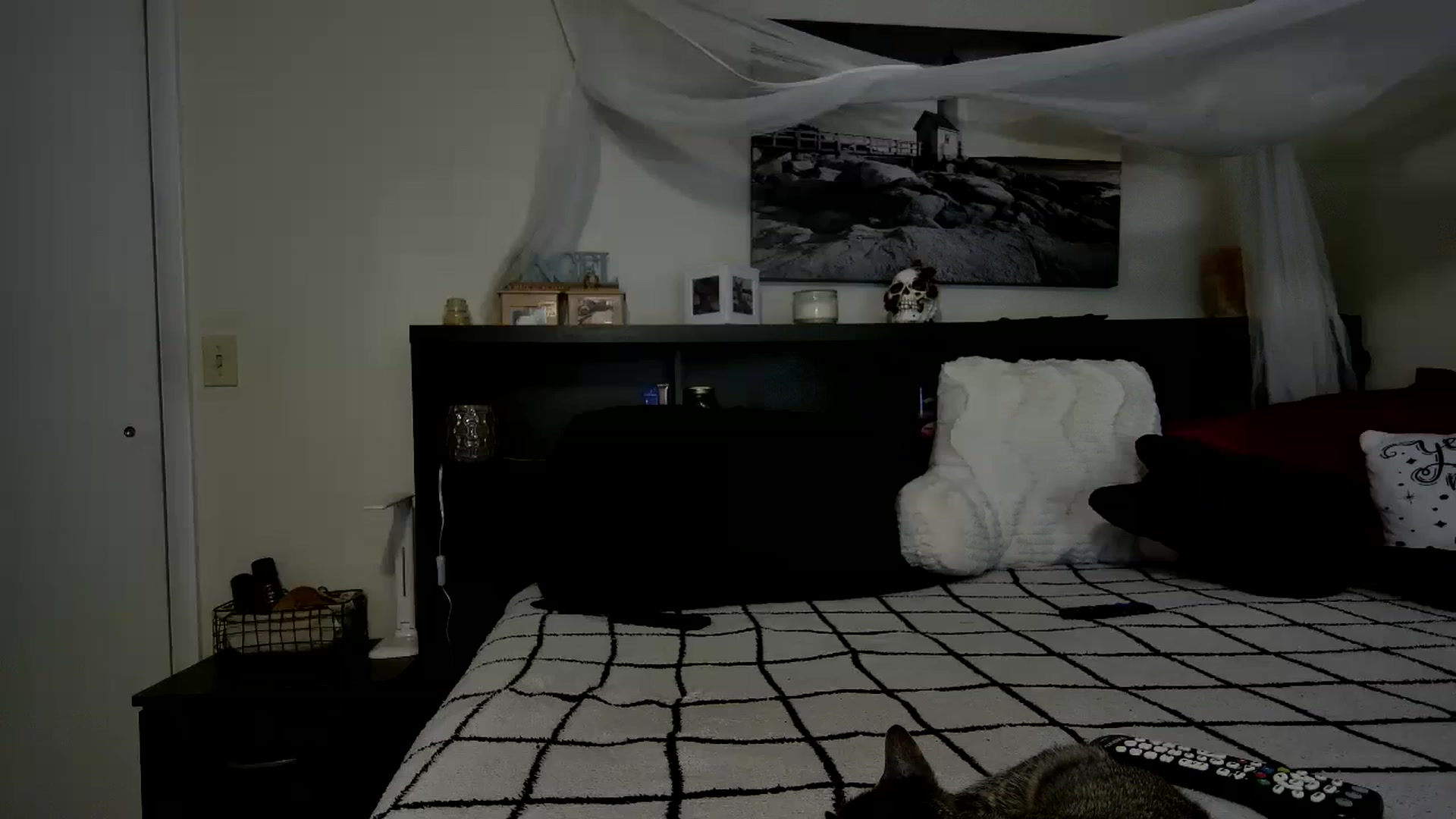 Gallery image thumbnail from CrystalLake's myfreecams stream on, 11/24/2023, 10:22 image 20 of 20