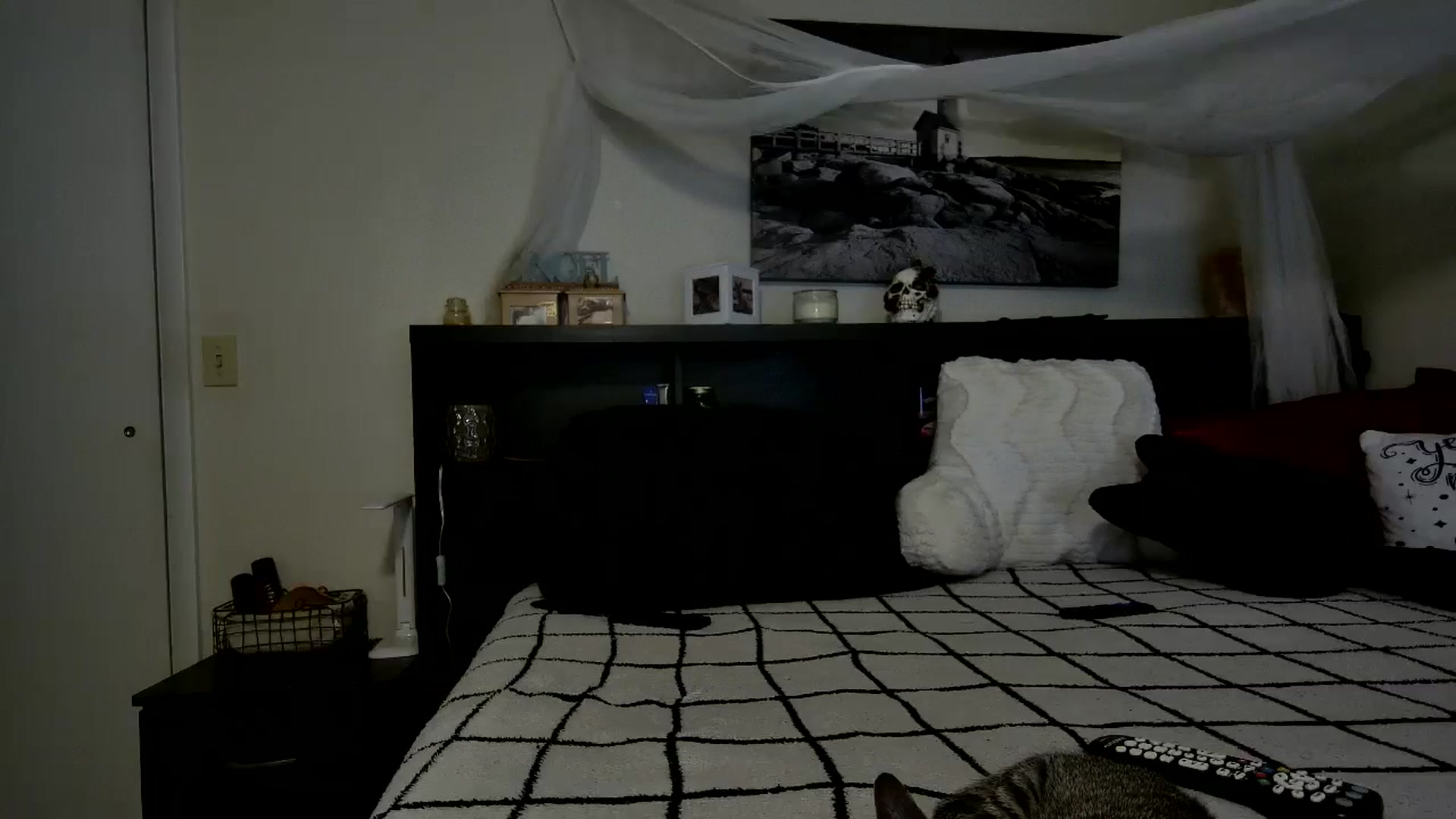 Gallery image thumbnail from CrystalLake's myfreecams stream on, 11/24/2023, 10:22 image 19 of 20