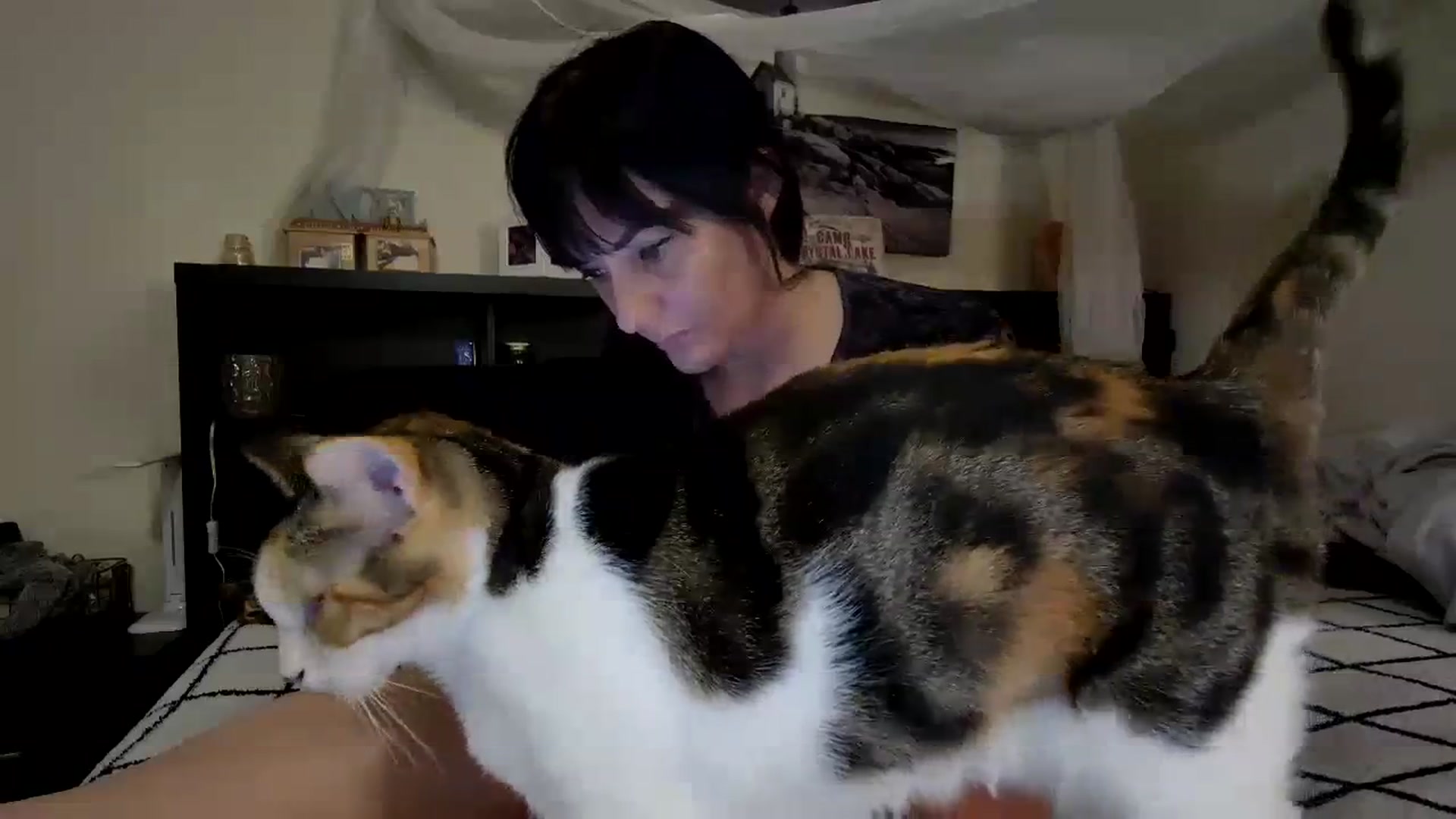 Gallery image thumbnail from CrystalLake's myfreecams stream on, 11/26/2023, 11:10 image 6 of 20