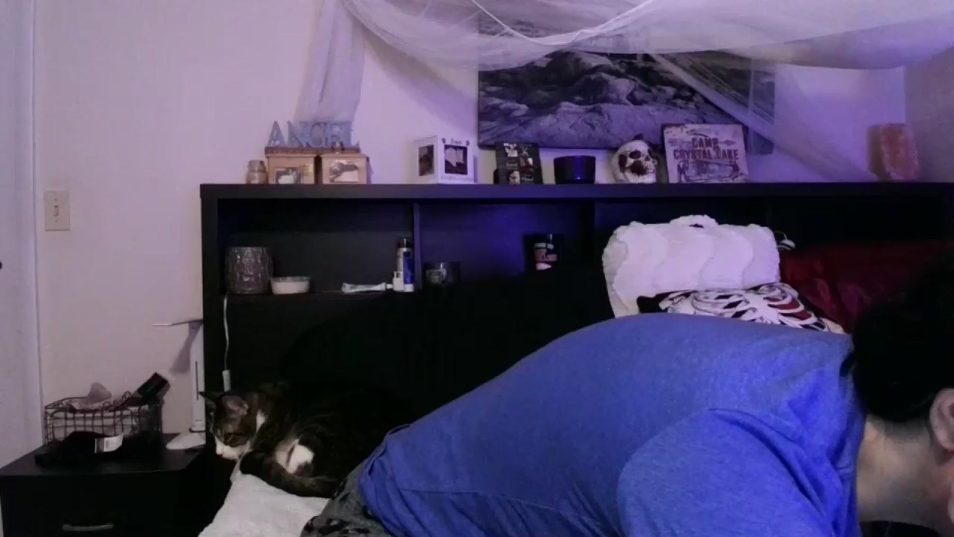 Gallery image thumbnail from CrystalLake's myfreecams stream on, 06/12/2024, 09:55 image 10 of 20