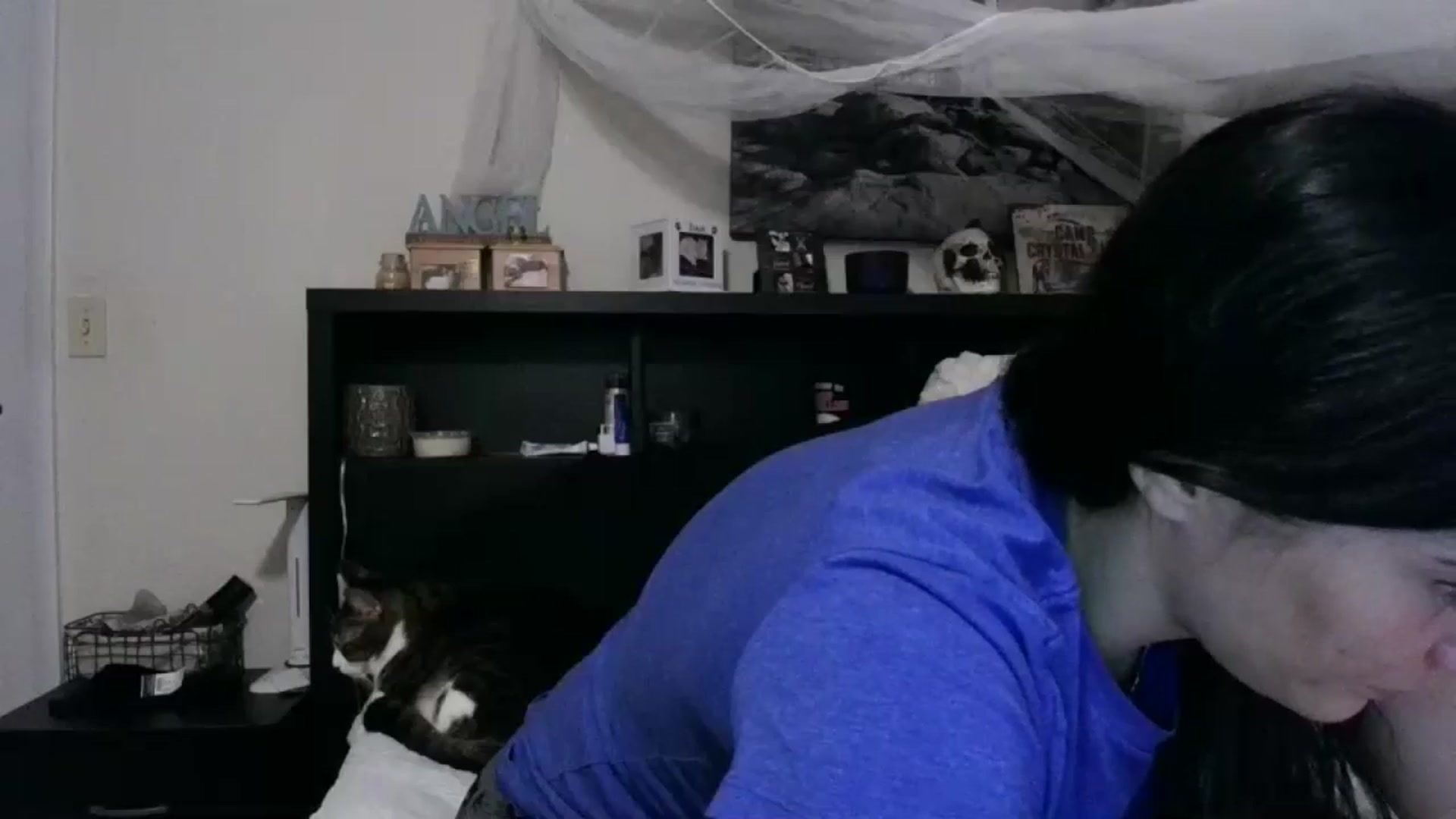Gallery image thumbnail from CrystalLake's myfreecams stream on, 06/12/2024, 09:55 image 12 of 20