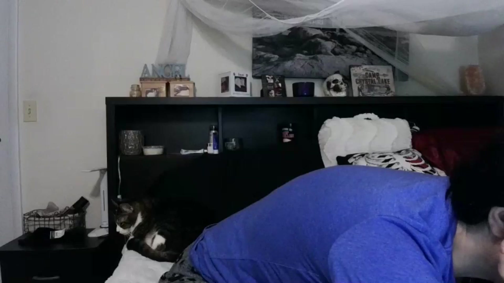 Gallery image thumbnail from CrystalLake's myfreecams stream on, 06/12/2024, 09:55 image 11 of 20