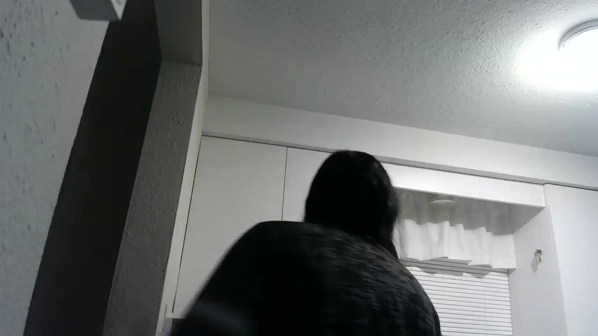 Gallery image thumbnail from CrystalLake's myfreecams stream on, 06/15/2024, 08:26 image 3 of 20